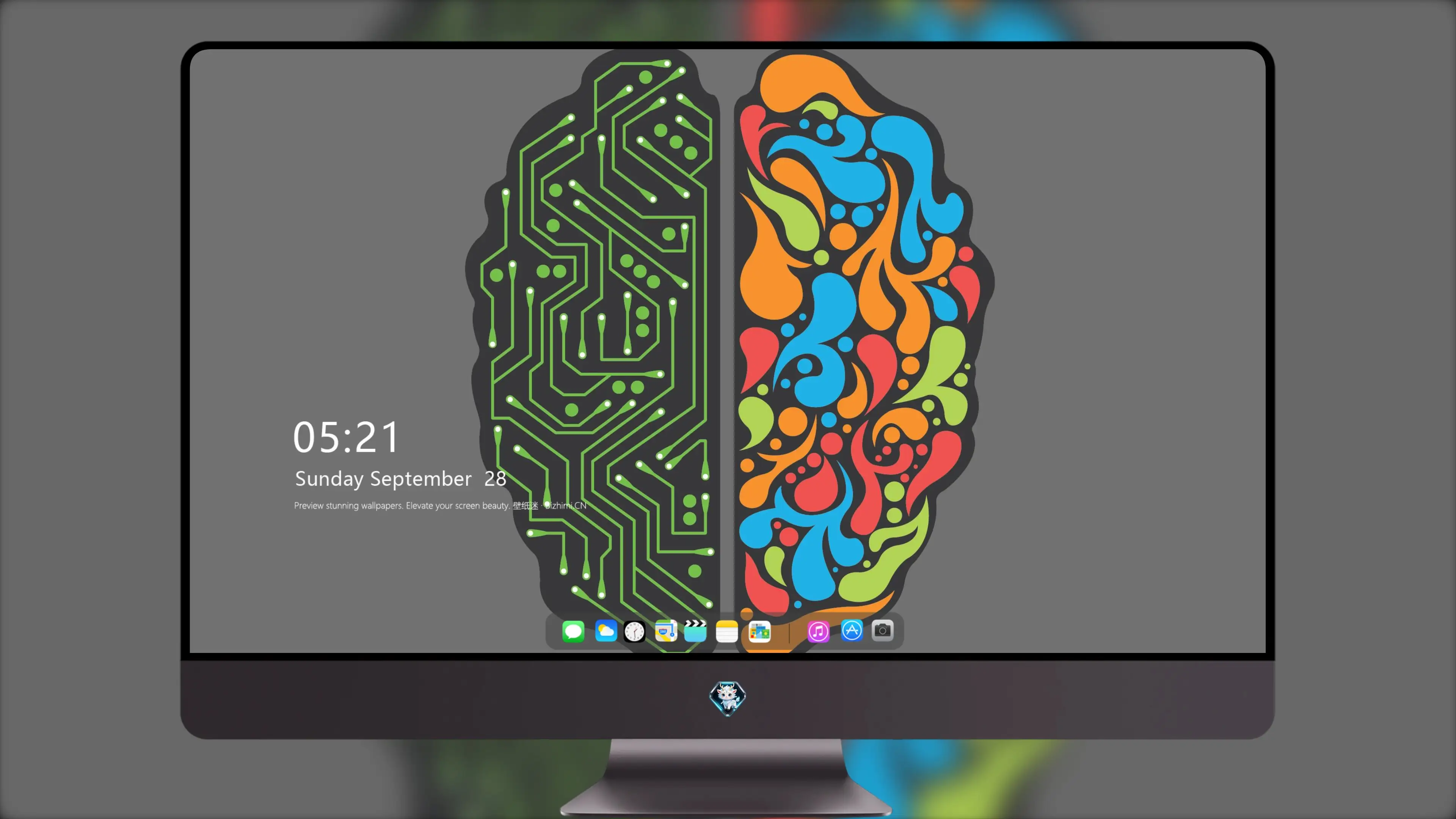 Brain