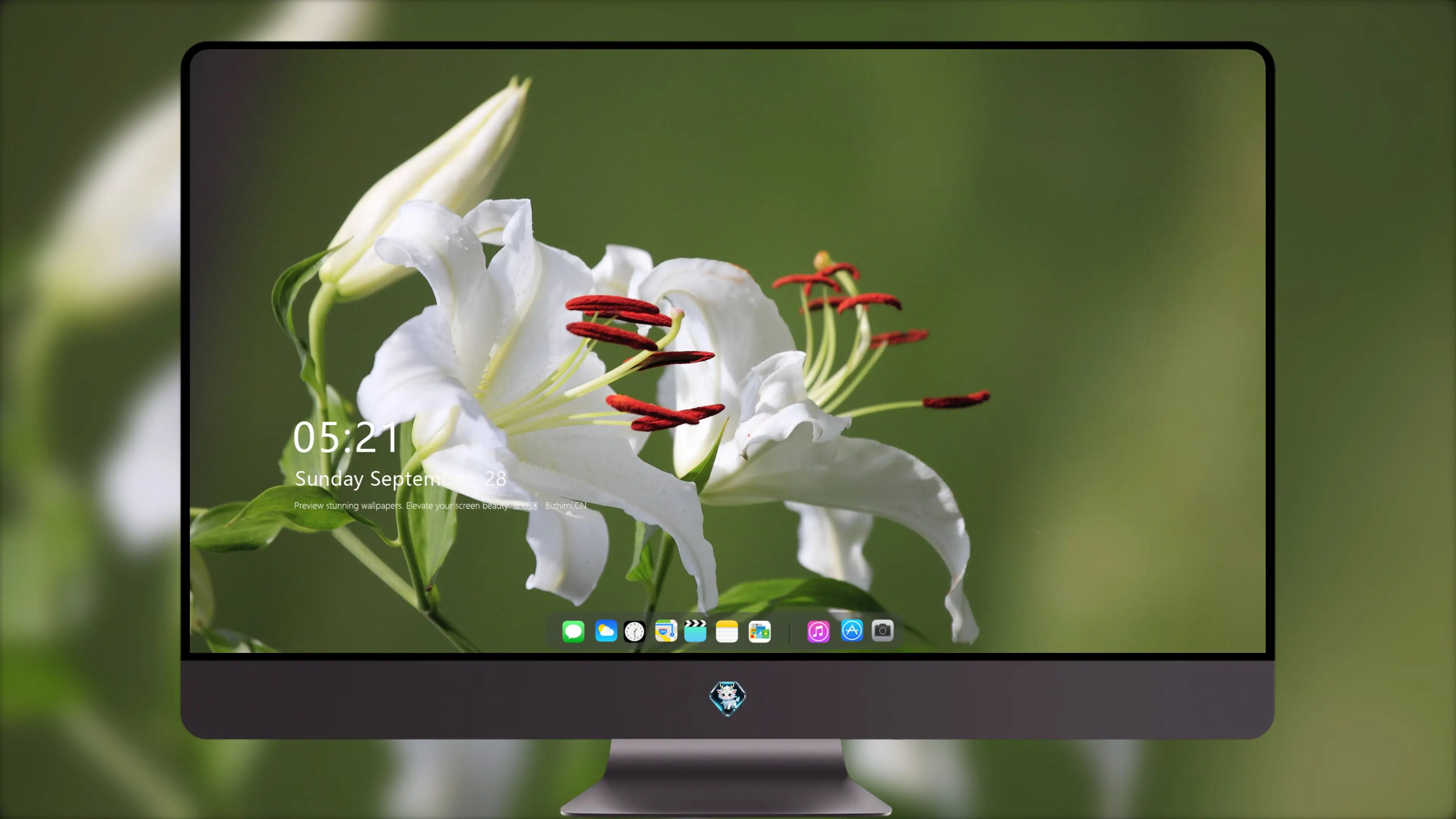 大众喜爱合集 每日更新 全屏优选 全机型适配热门图