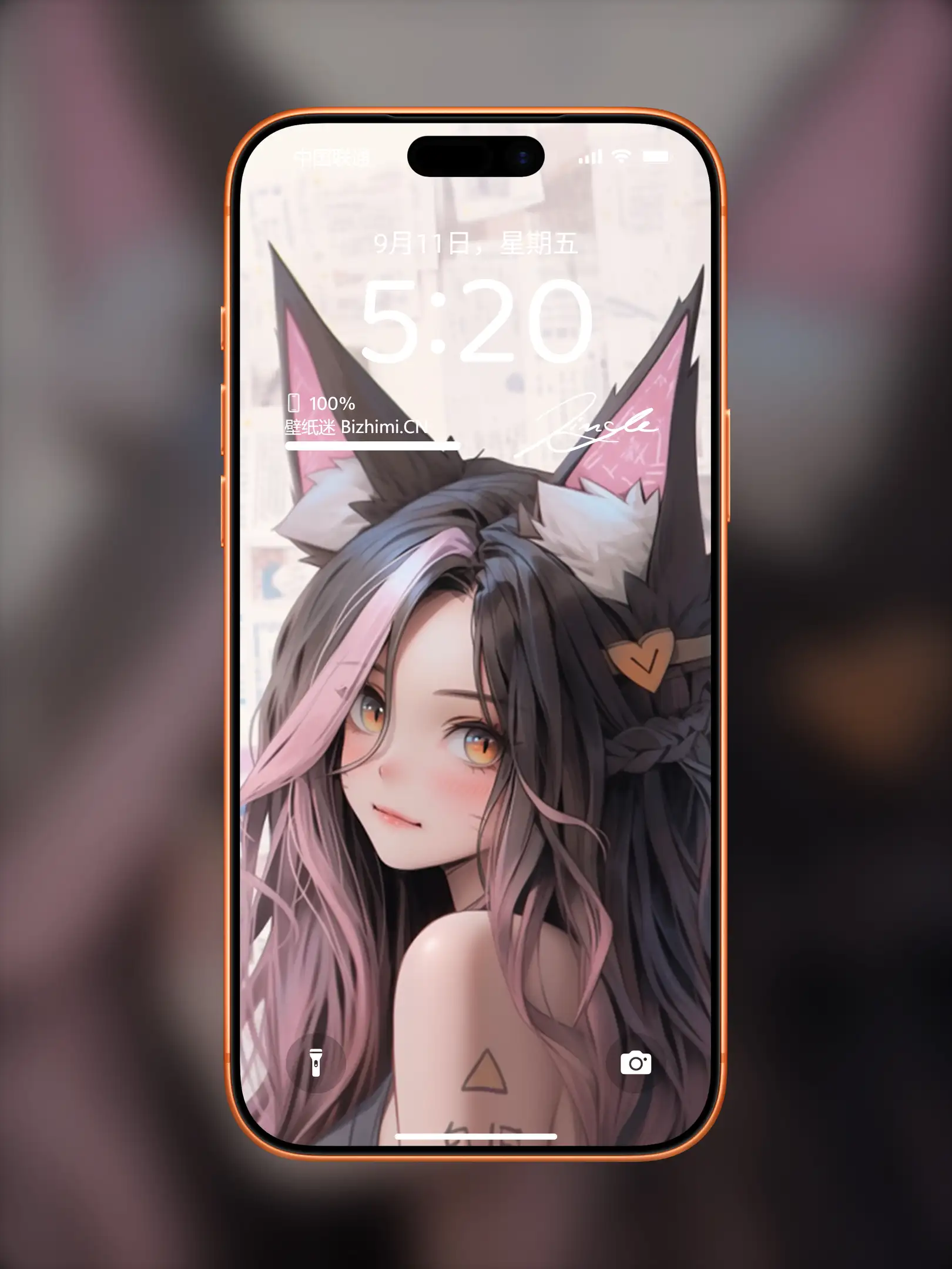 Photo by 壁纸图