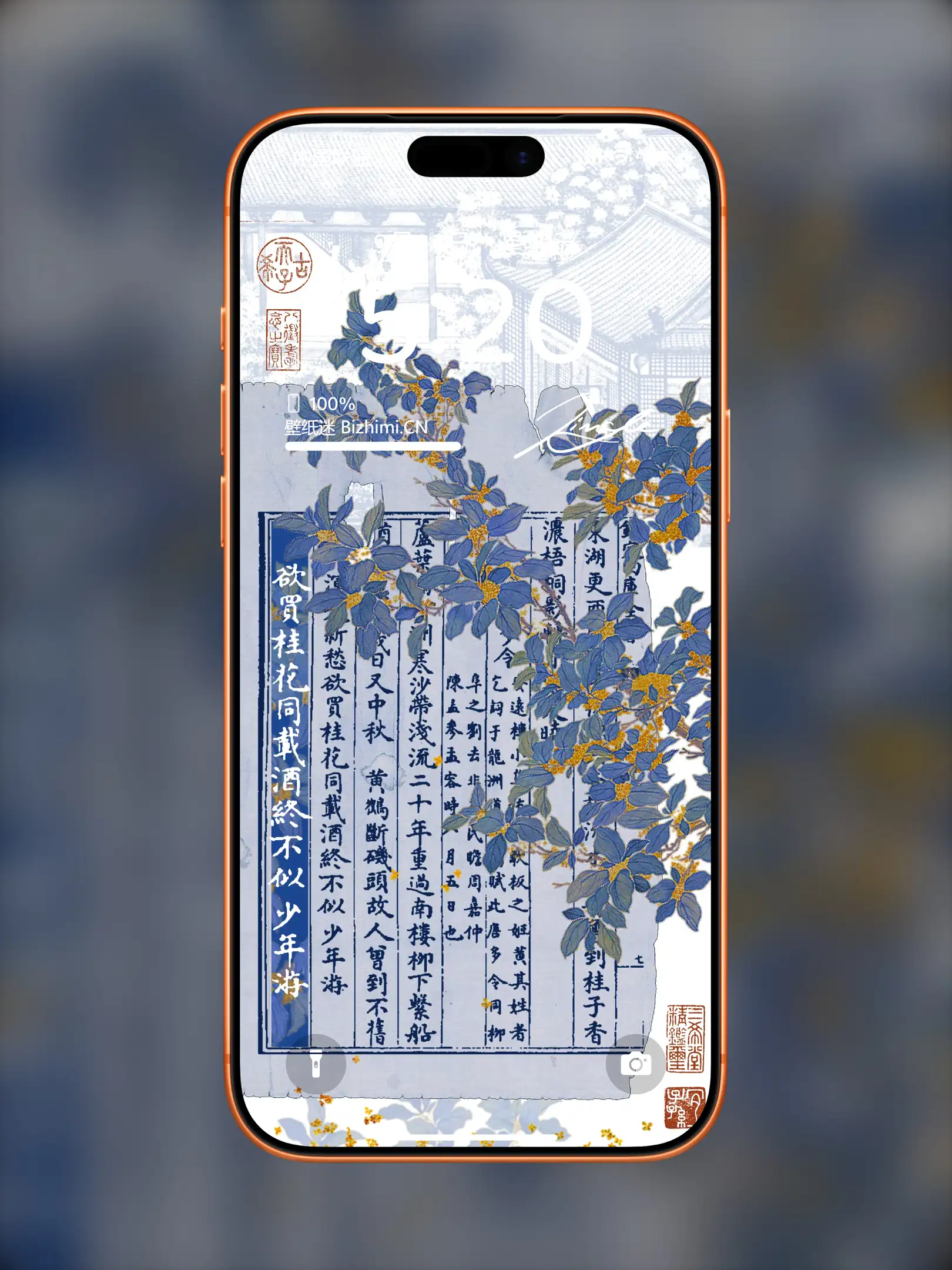 Photo by 壁纸图