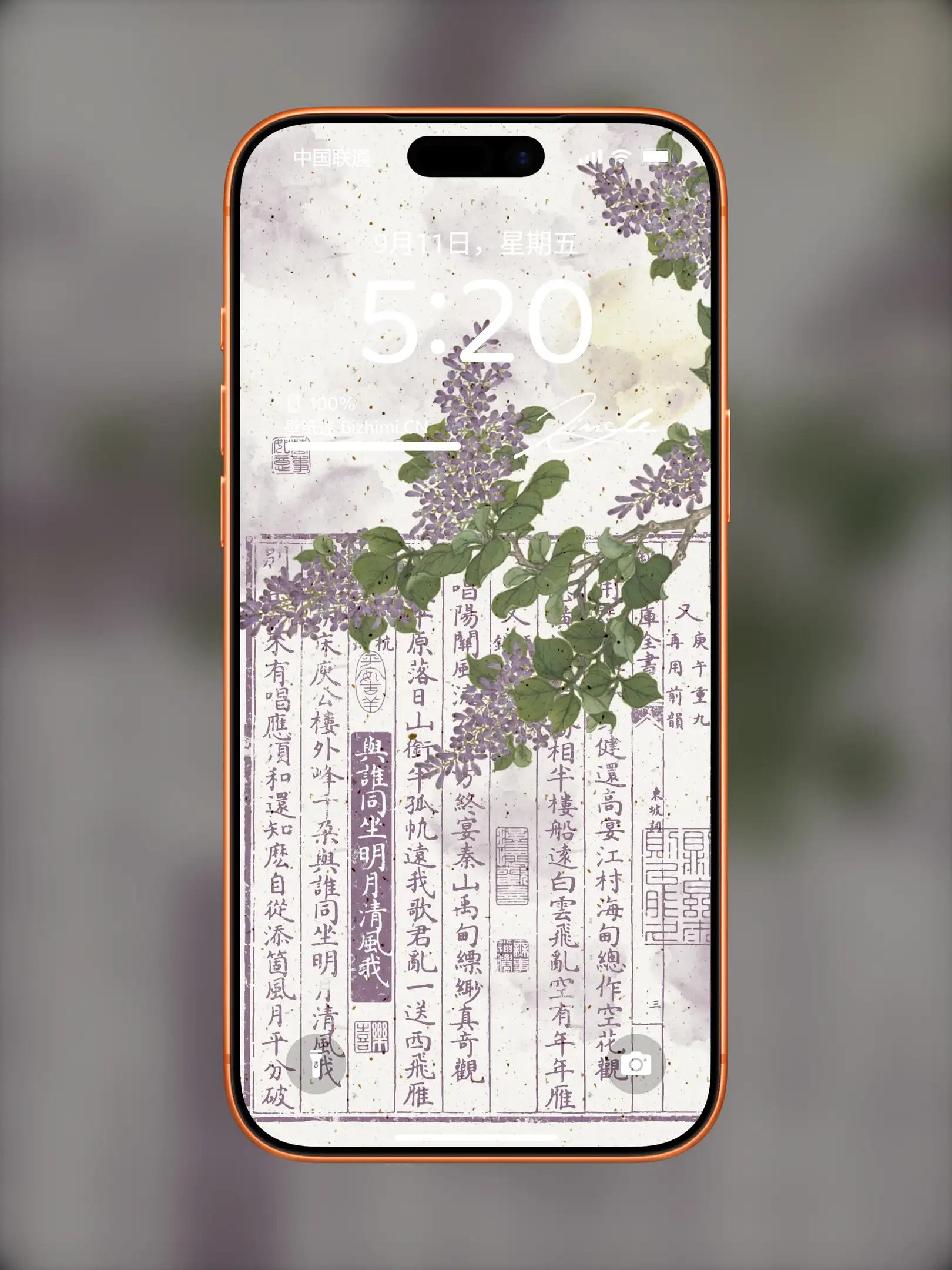 Photo by 壁纸图