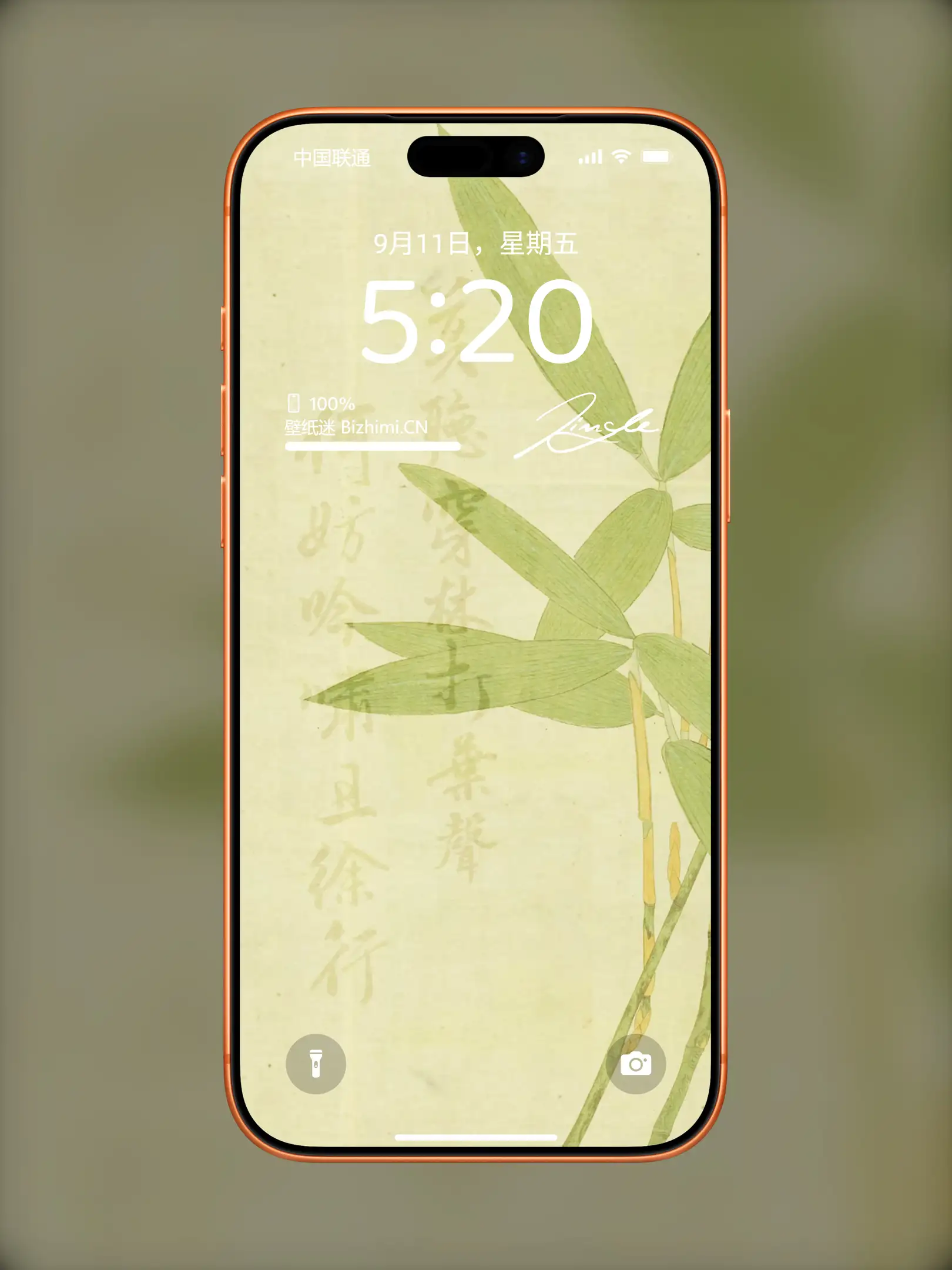 Photo by 壁纸图
