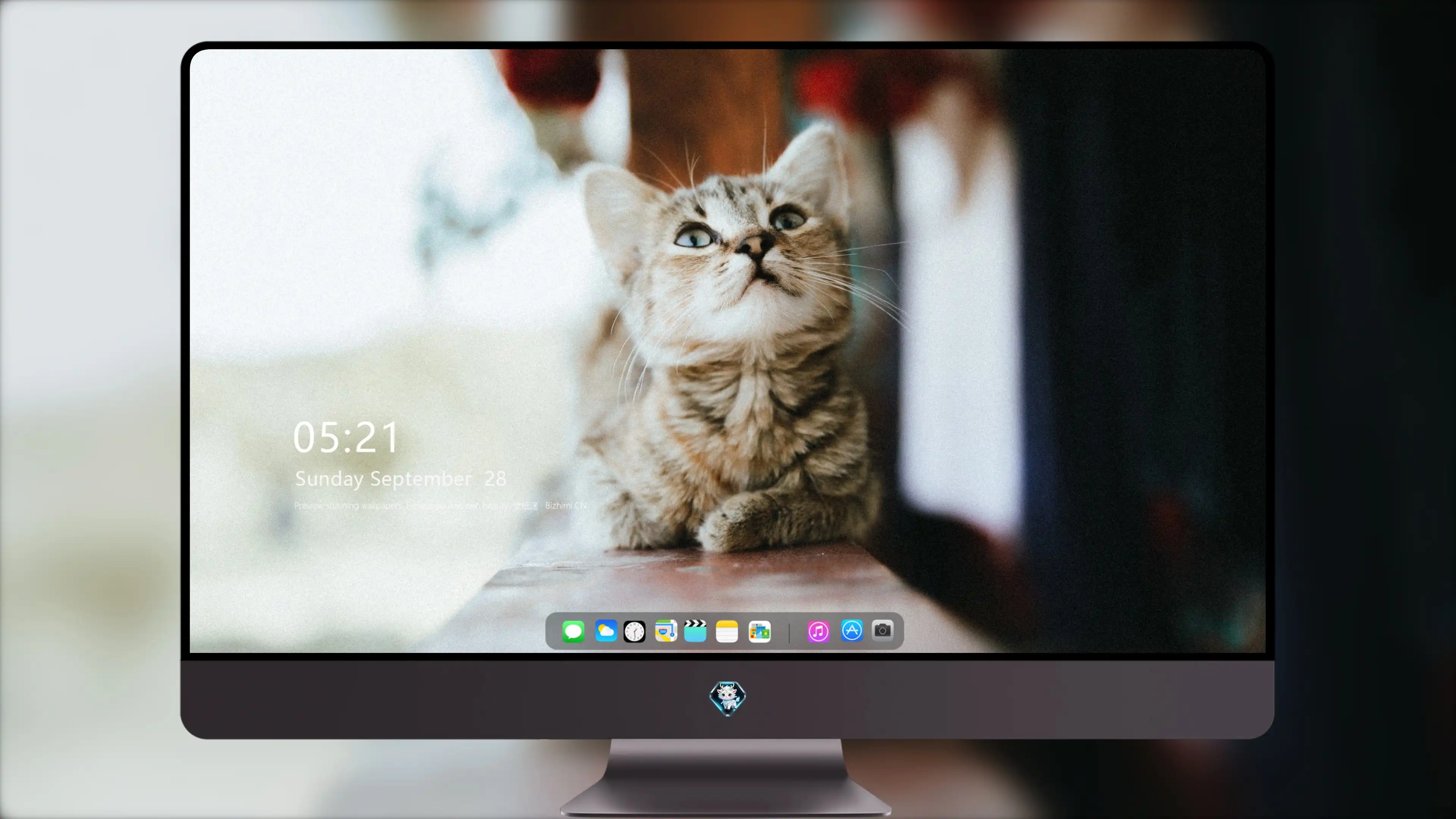 猫咪图片素材 可爱小猫壁纸大全