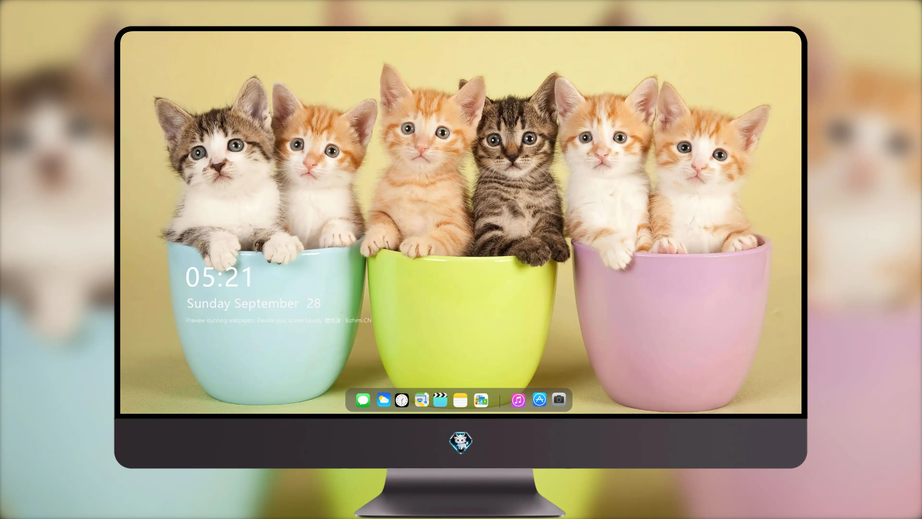 猫咪摄影作品 可爱小猫高清壁纸素材