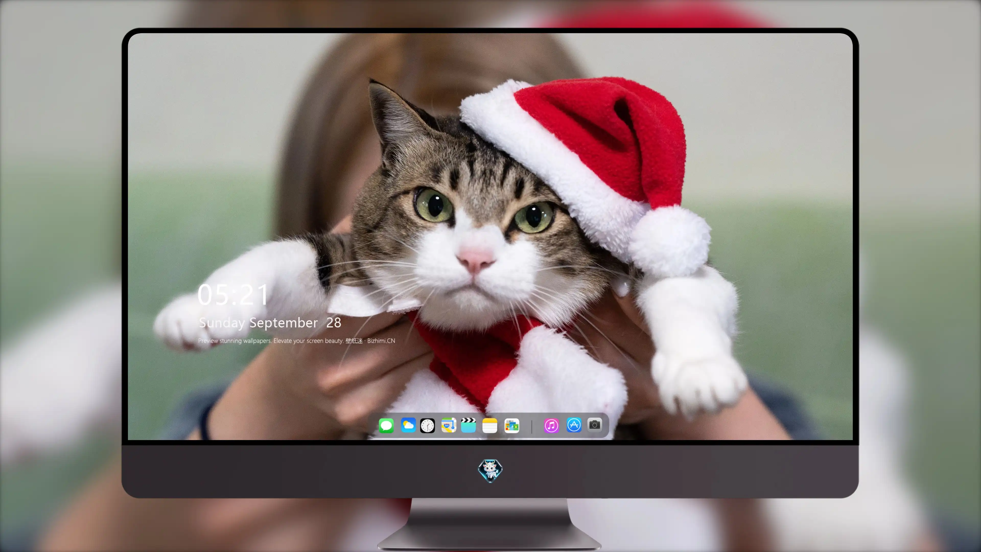 猫咪摄影作品 可爱小猫高清壁纸素材