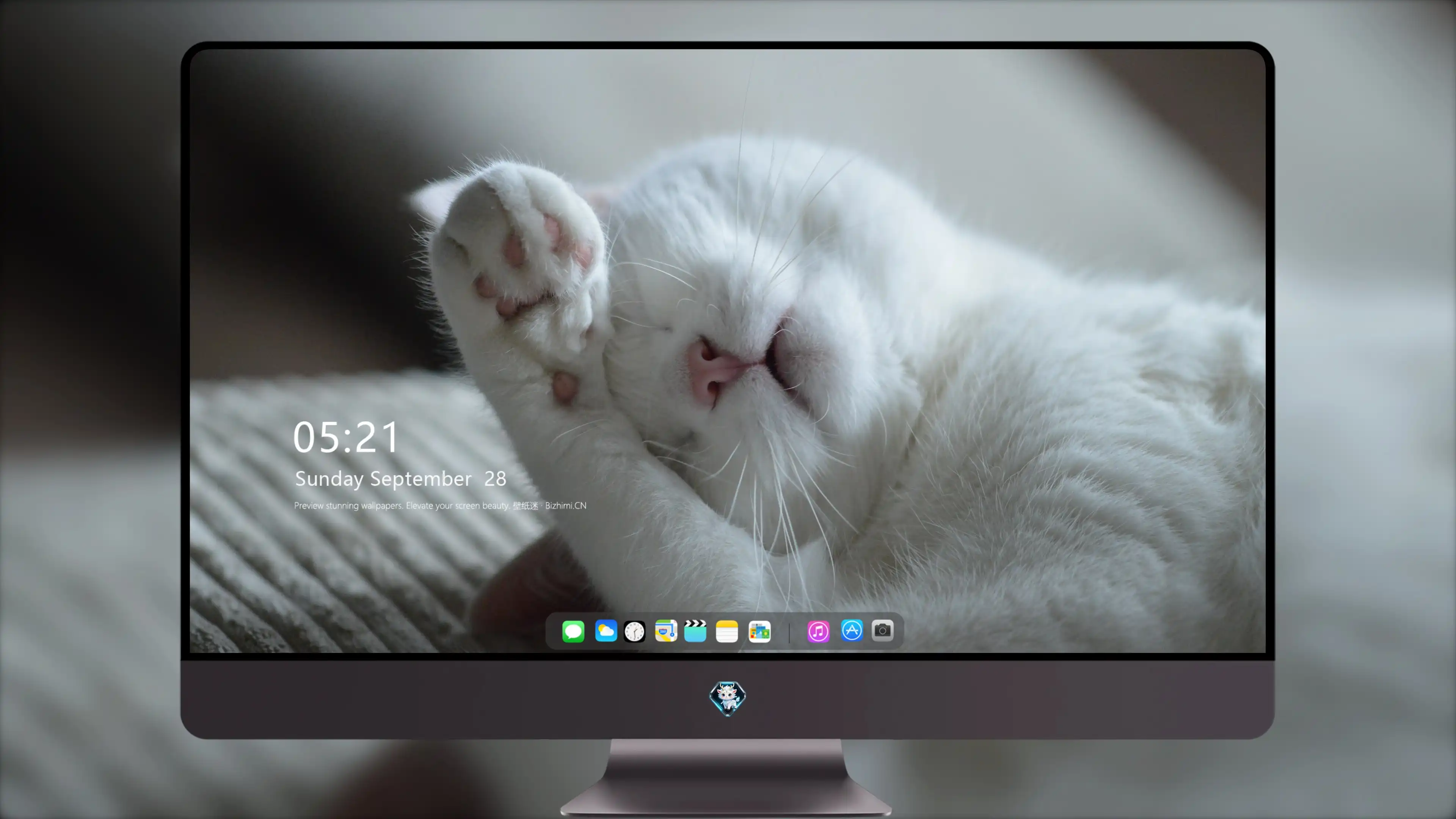 可爱猫咪高清图片 萌宠小猫壁纸大全
