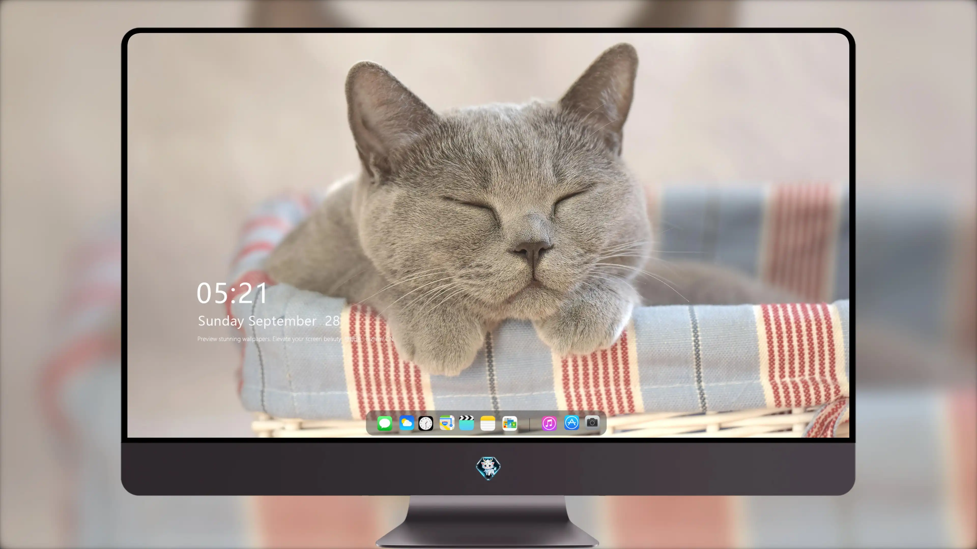 猫咪蹭桌面撒娇 可爱图片