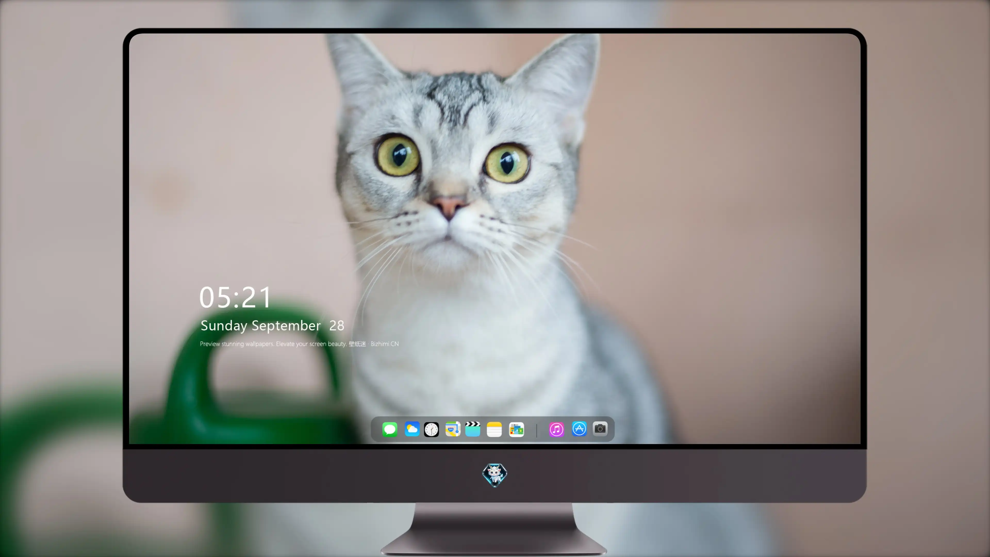 可爱猫咪高清图片 萌宠小猫壁纸大全