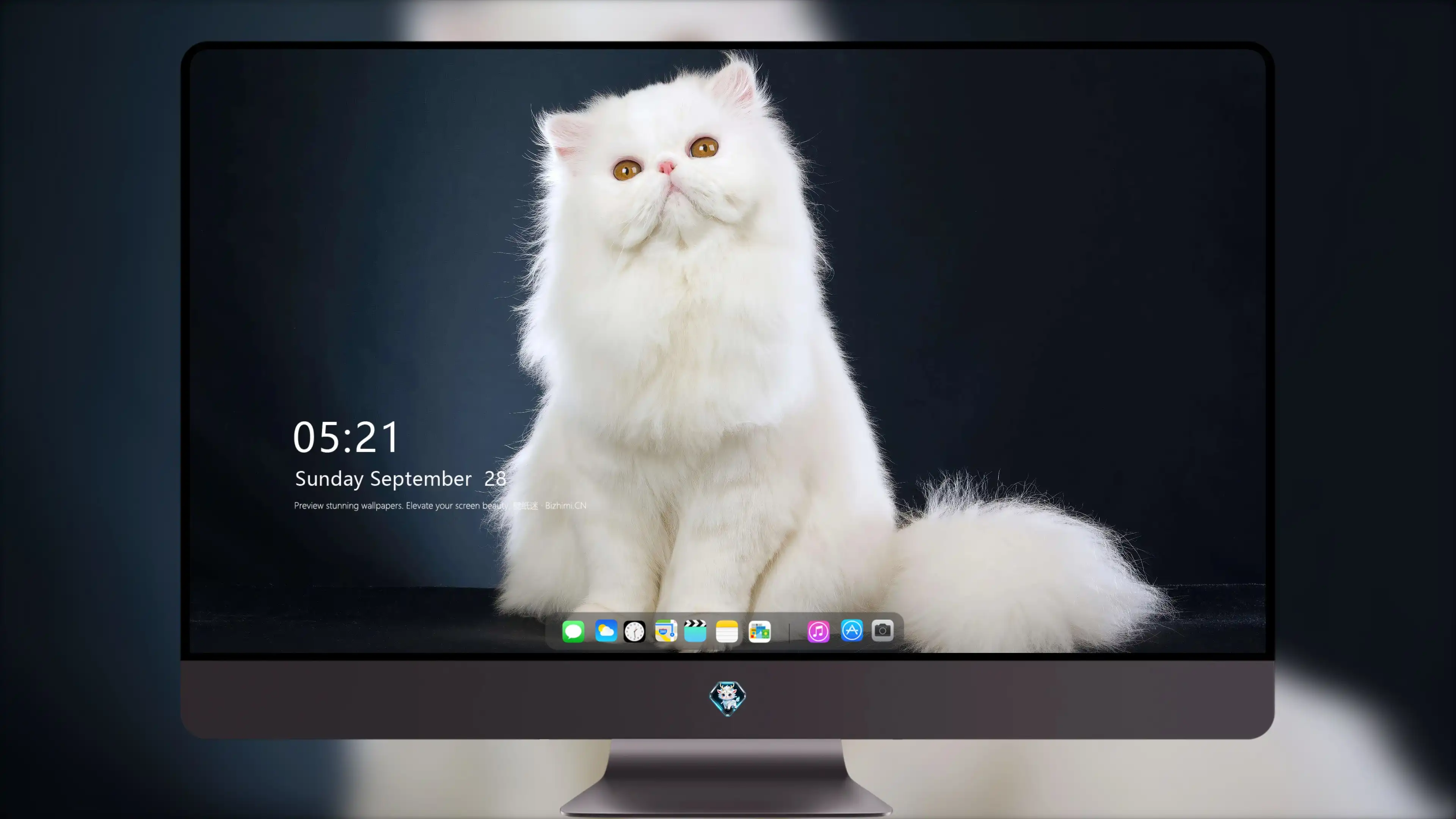小猫图片大全 萌宠猫咪高清摄影素材