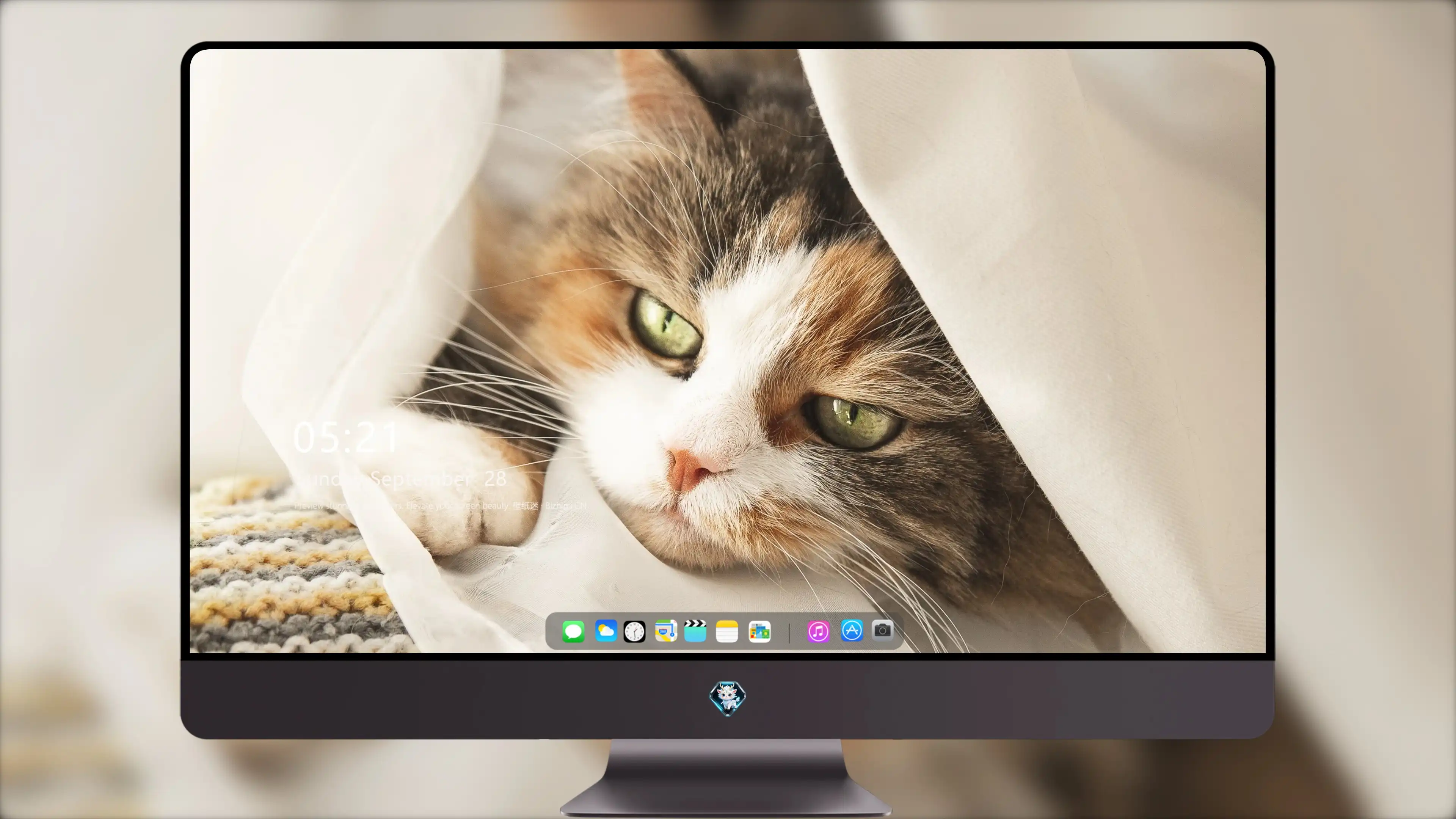 猫咪图片素材 可爱小猫壁纸大全