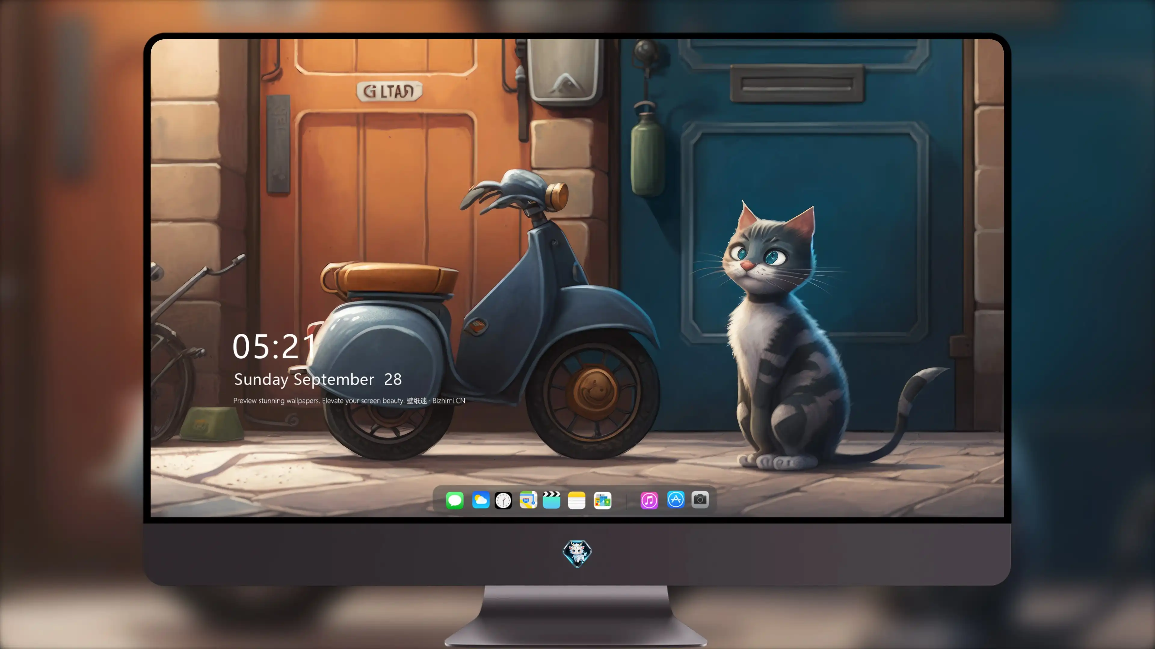 可爱猫咪壁纸 小猫高清摄影图片