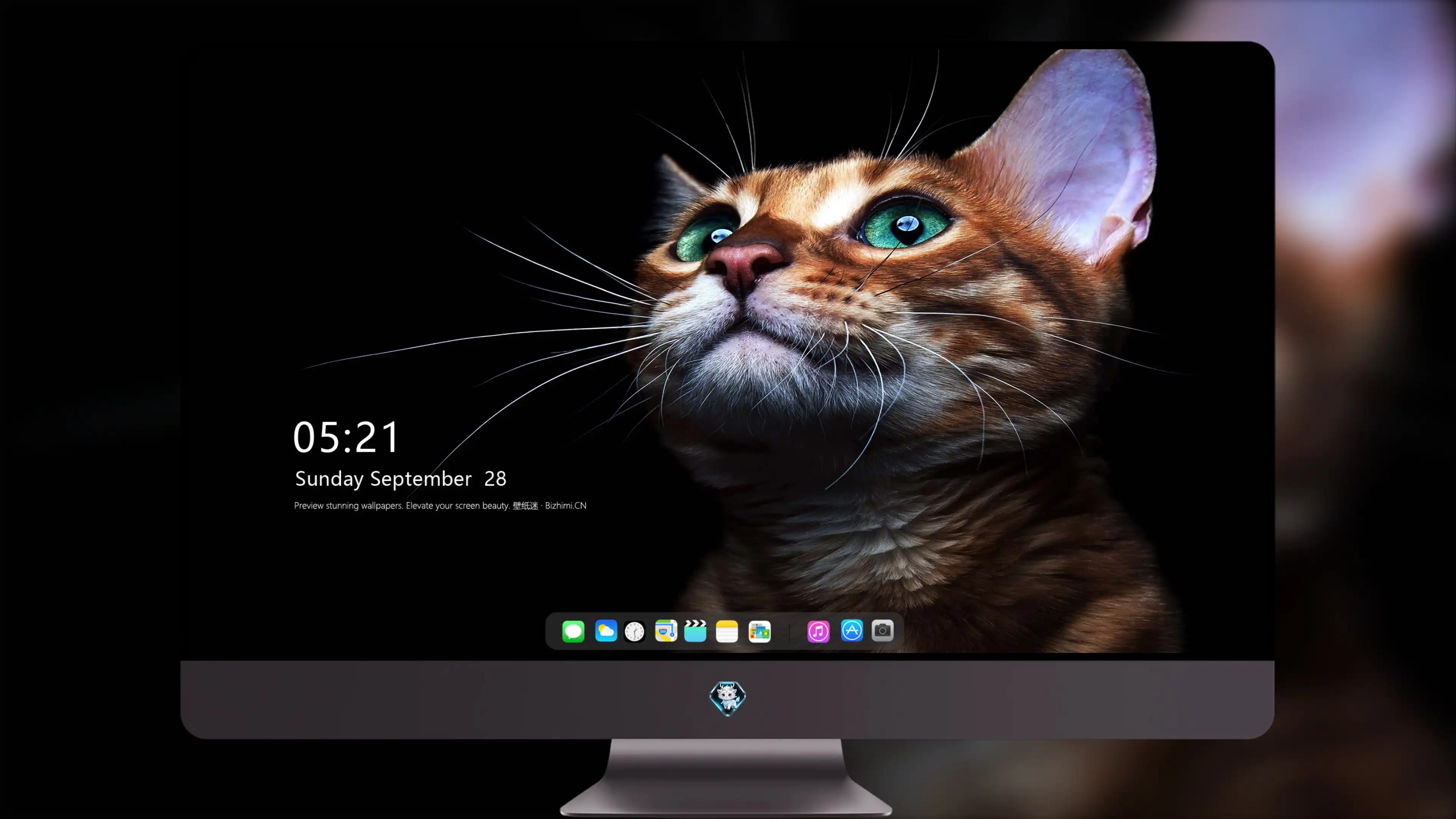 可爱小猫壁纸 猫咪图片高清合集