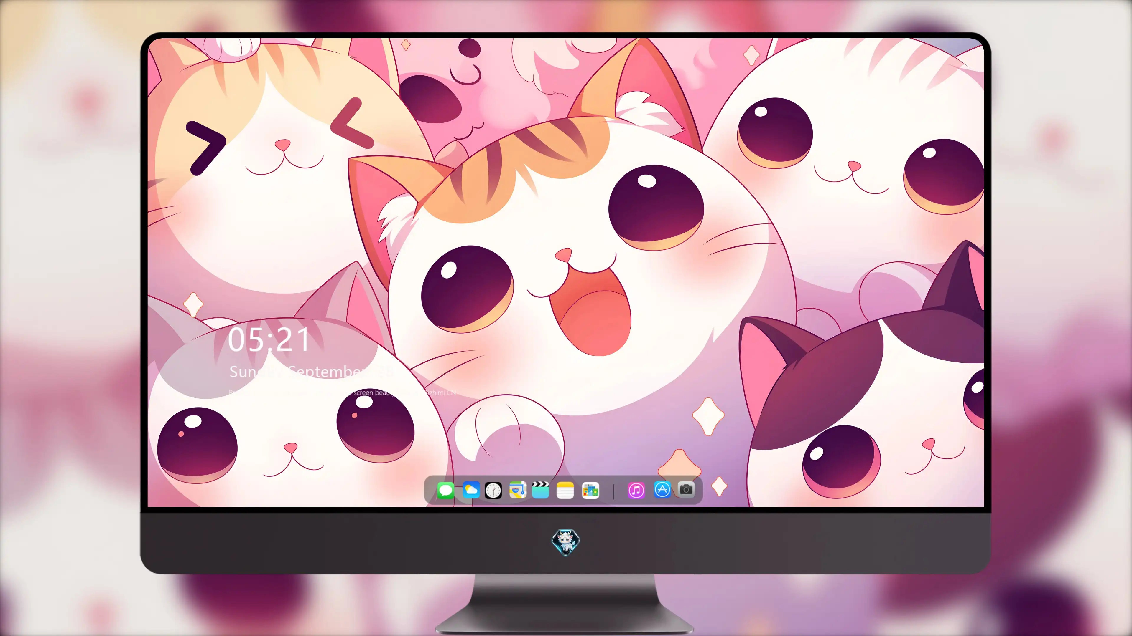 可爱猫咪壁纸 小猫高清摄影图片