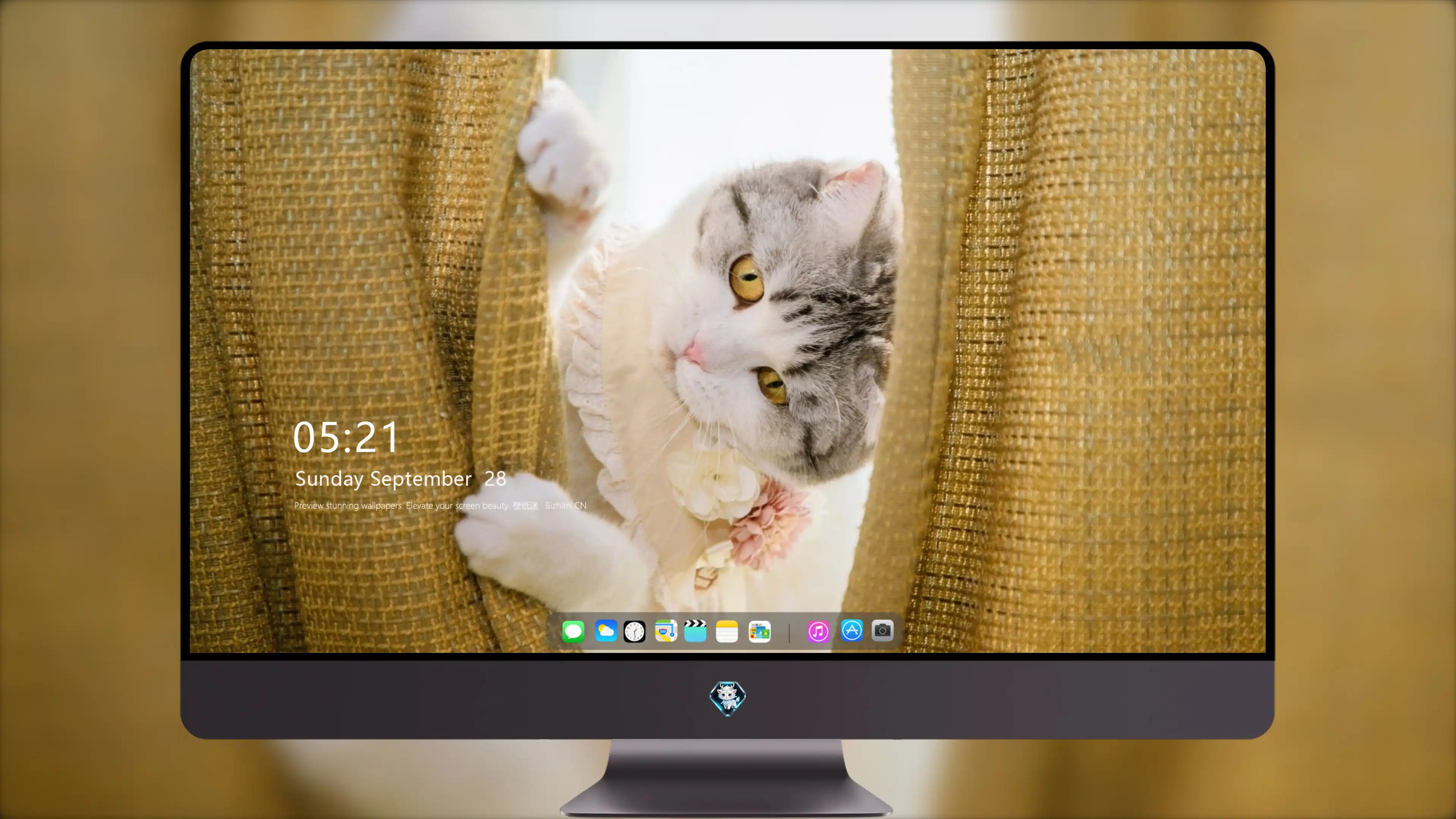可爱猫咪壁纸 小猫高清摄影图片