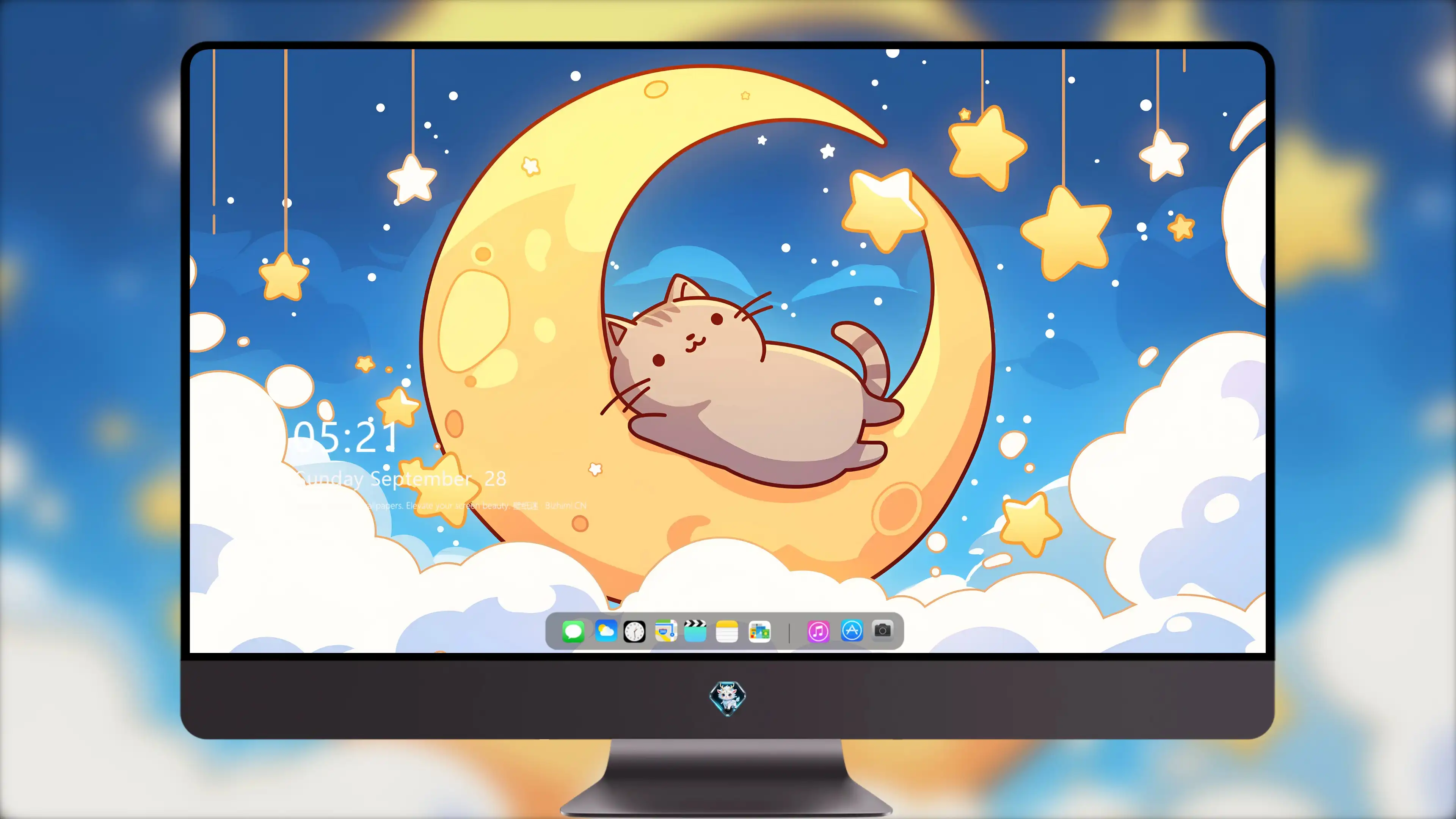 可爱猫咪高清图片 萌宠小猫壁纸大全