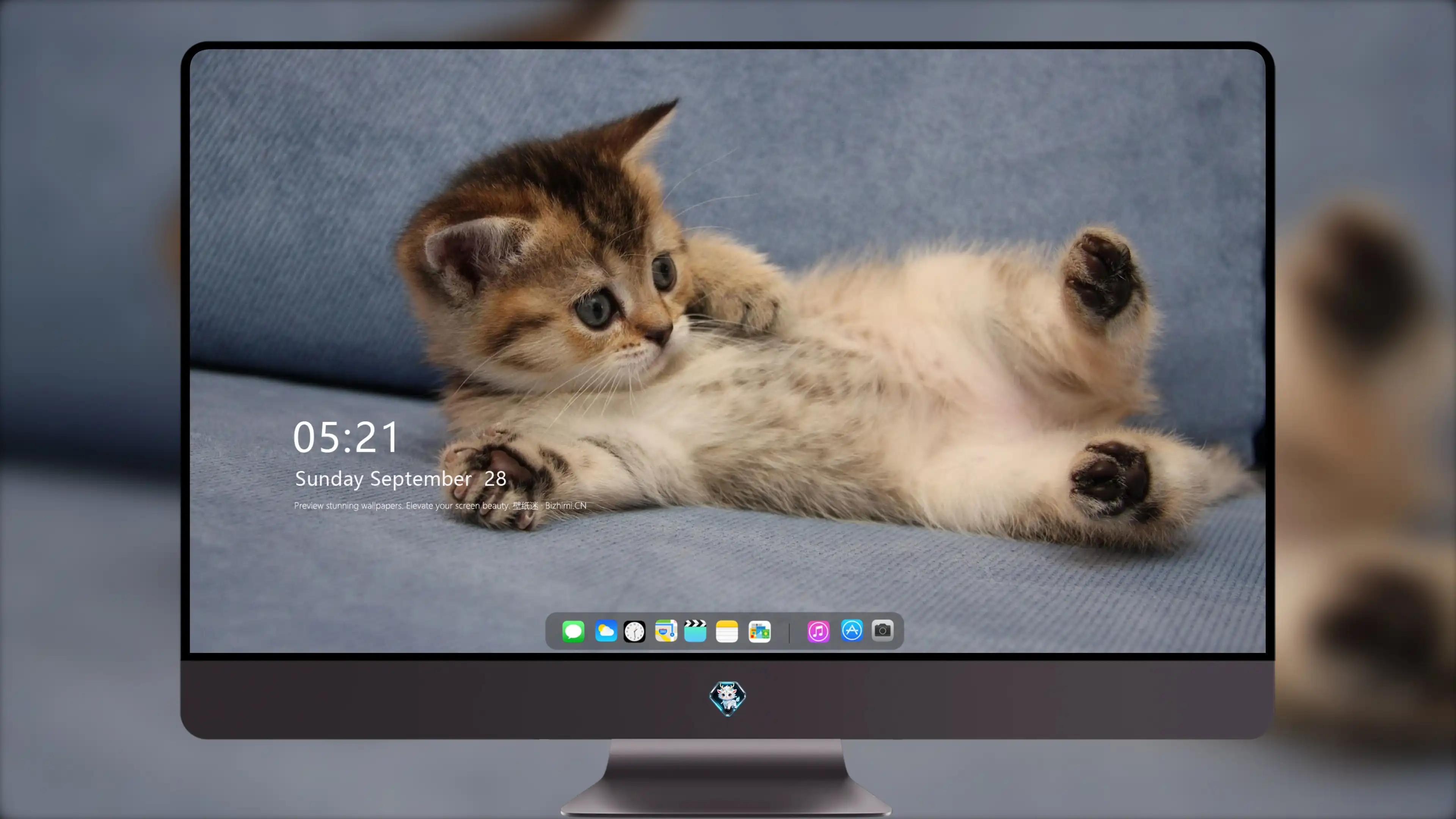 萌宠猫咪图片合集 小猫壁纸免费下载