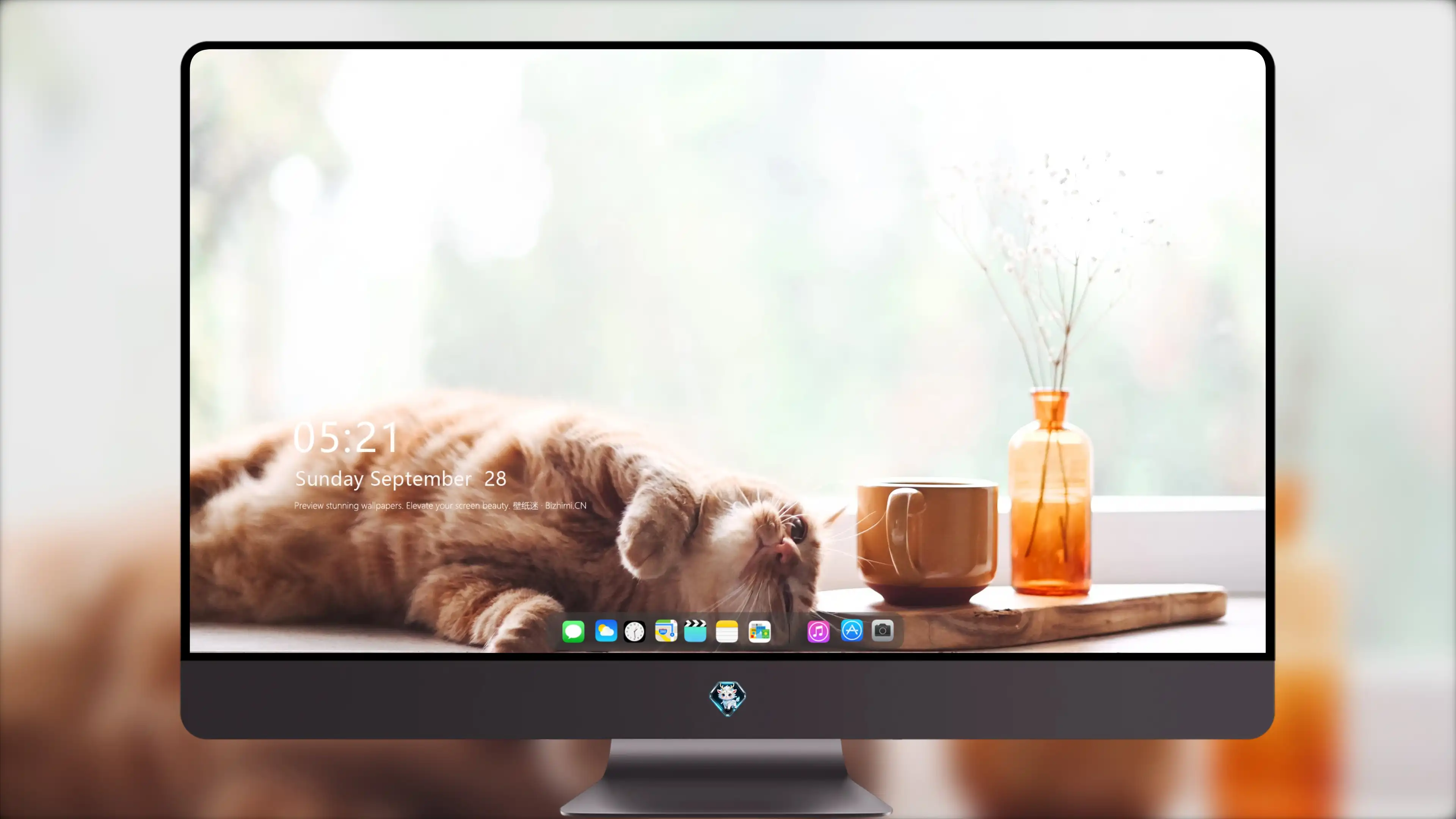 可爱猫咪高清图片 萌宠小猫壁纸大全