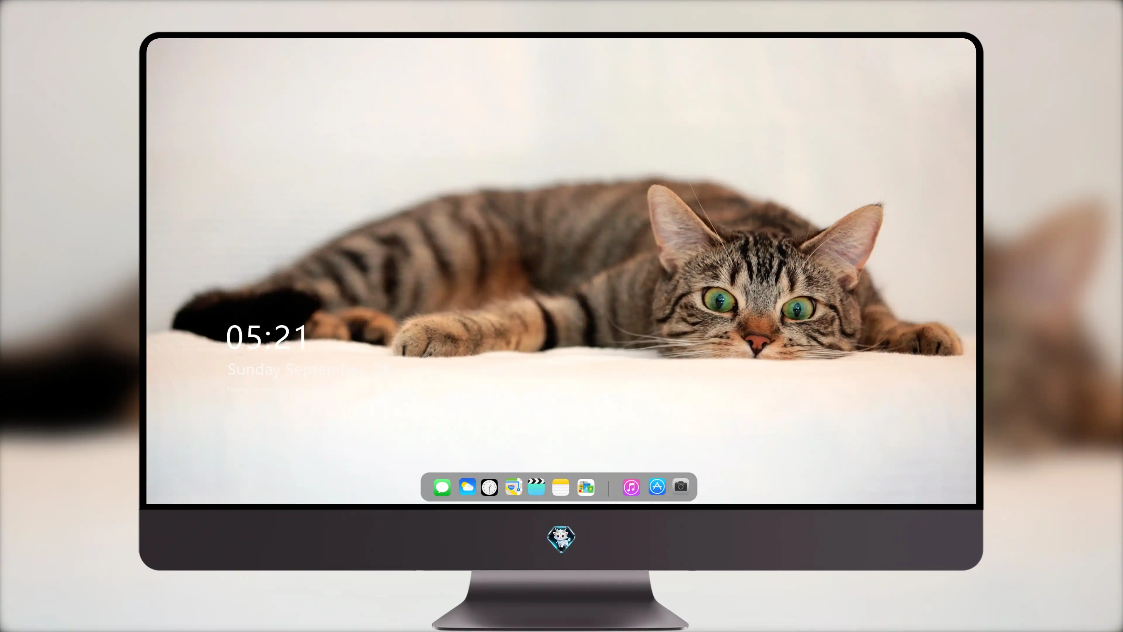 可爱猫咪壁纸 小猫高清摄影图片