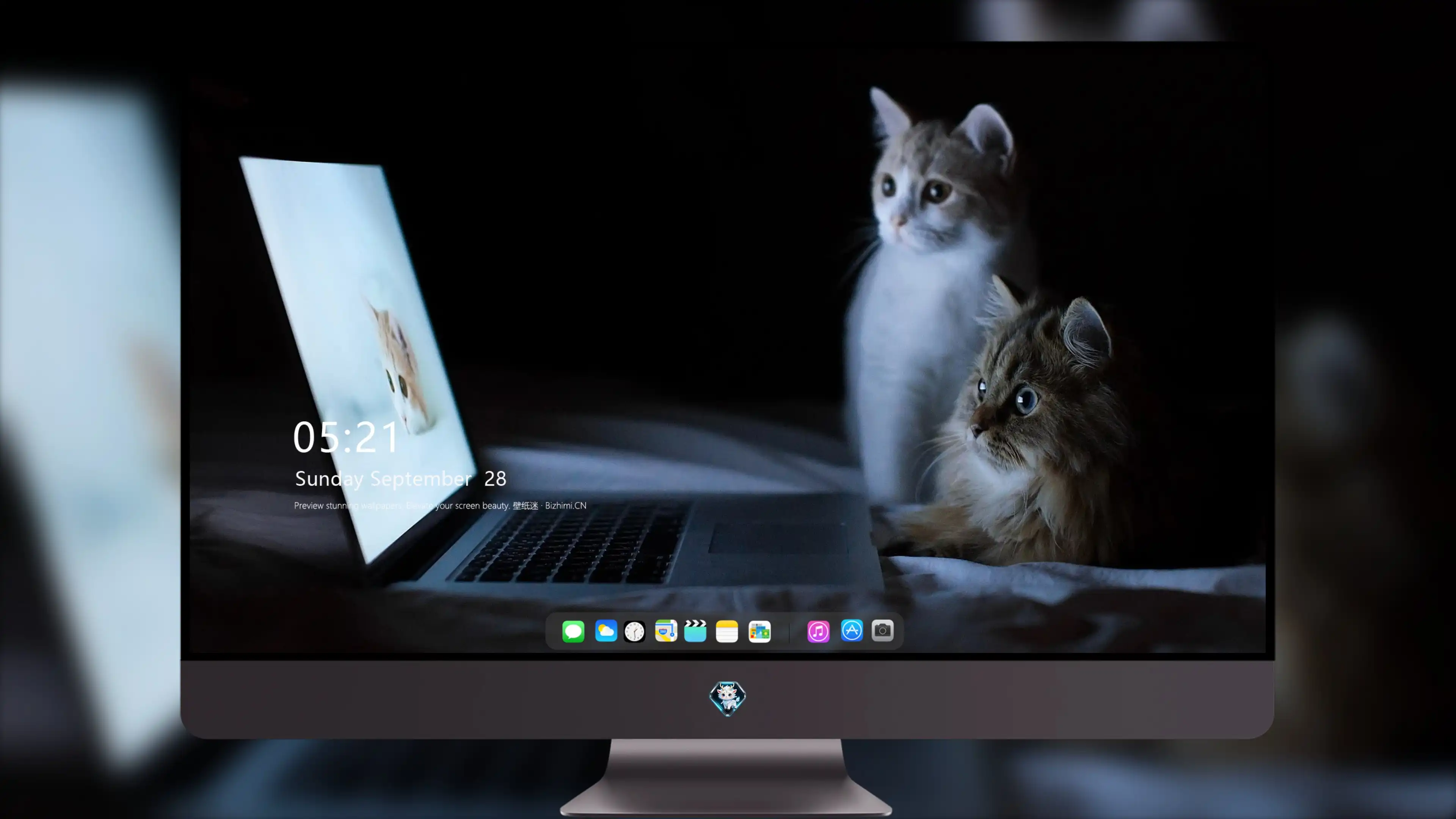 可爱小猫壁纸 猫咪图片高清合集