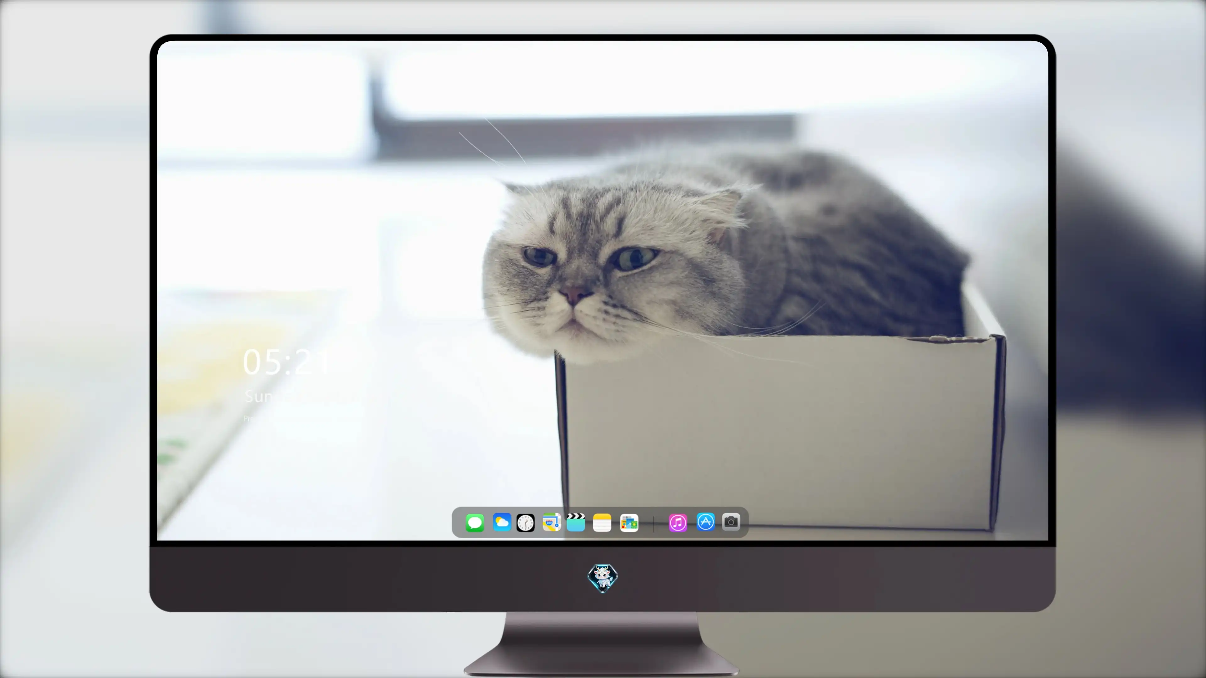 猫咪图片素材 可爱小猫壁纸大全