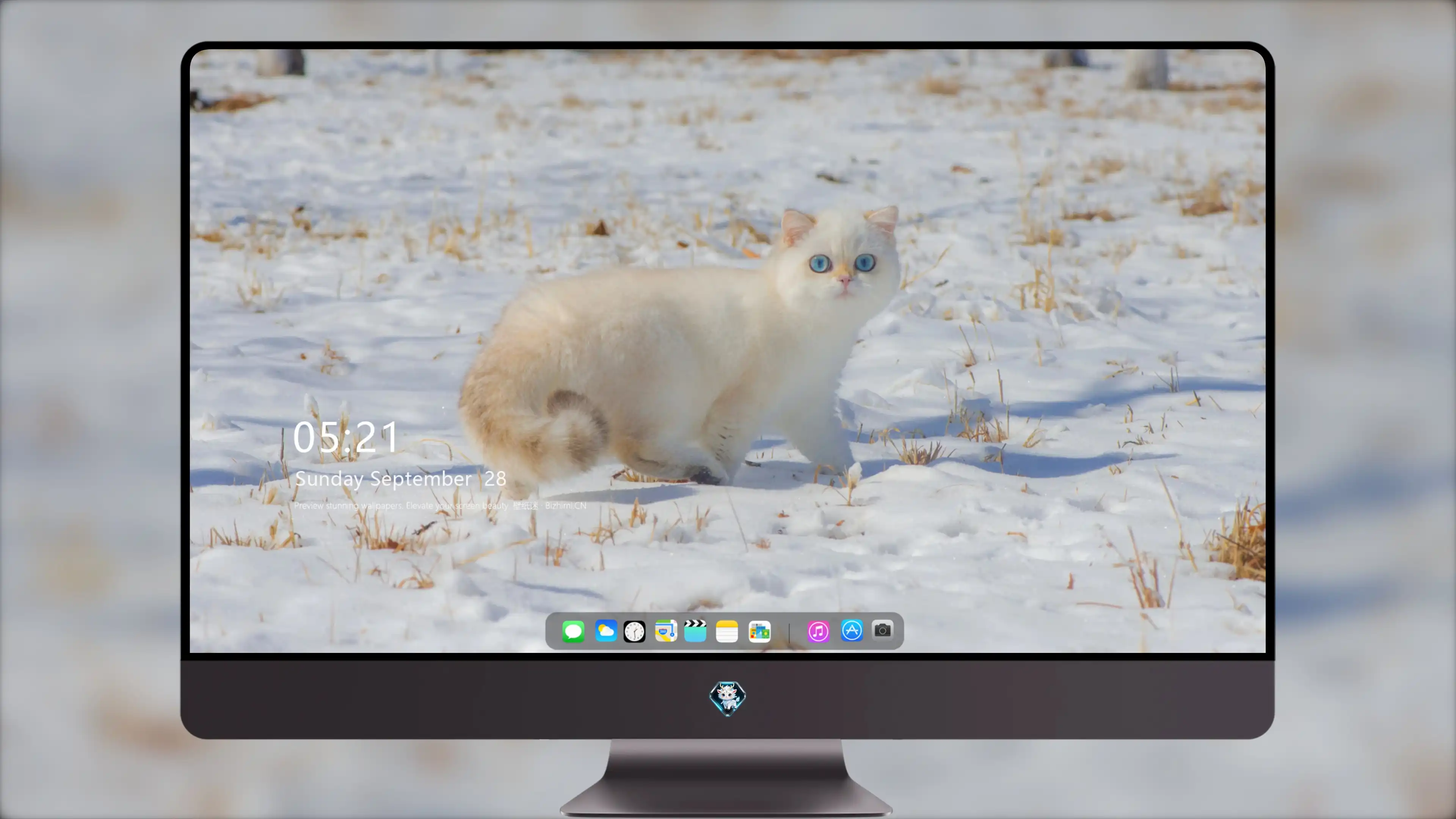 可爱猫咪壁纸 小猫高清摄影图片