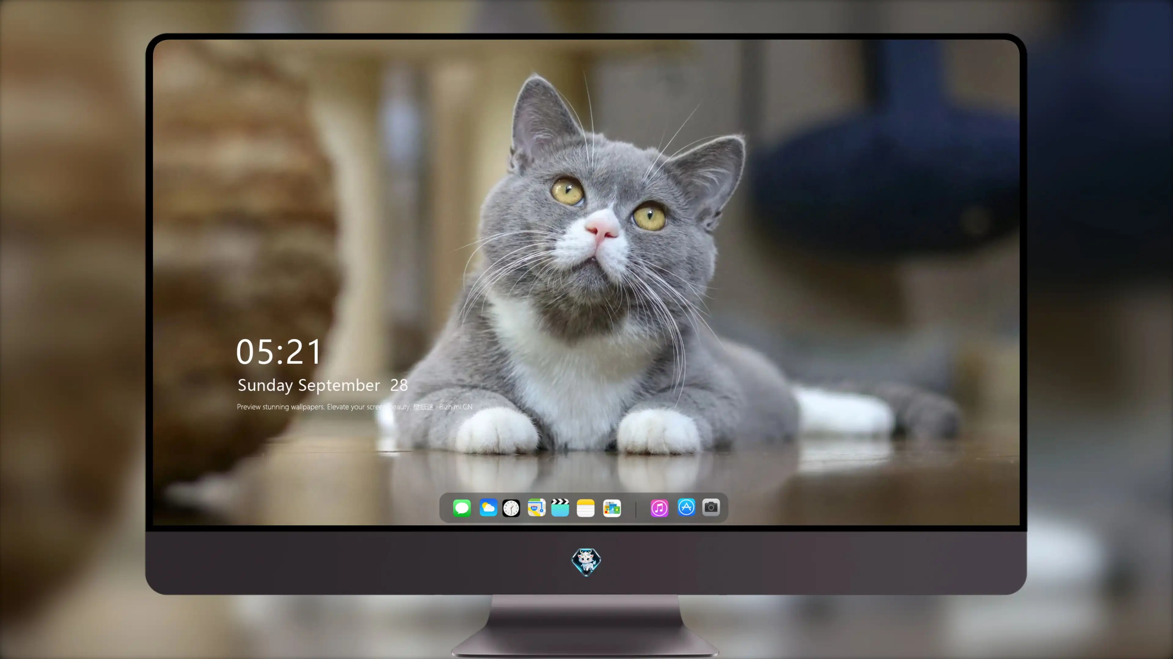 可爱猫咪高清图片 萌宠小猫壁纸大全