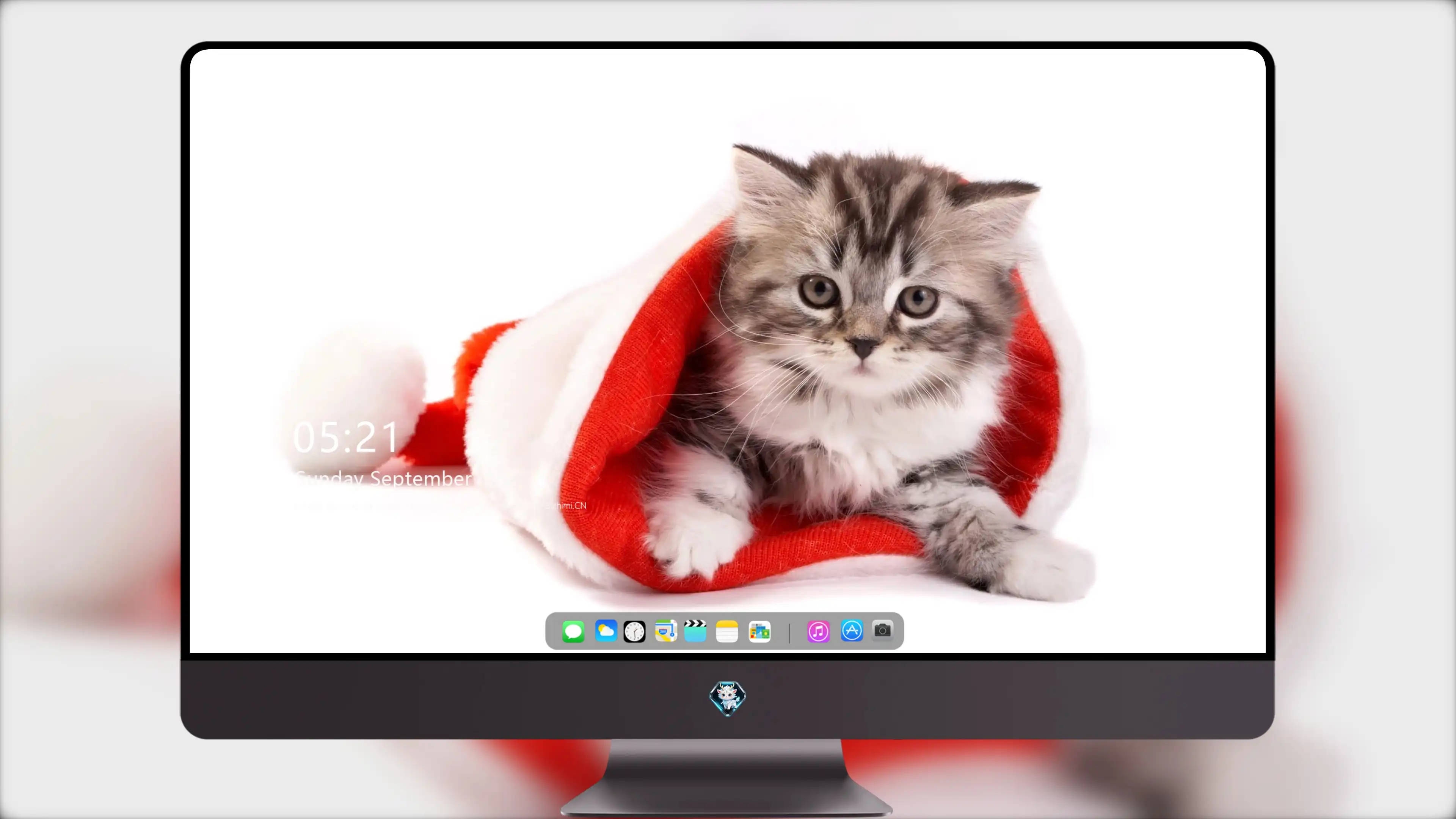 猫咪图片素材 可爱小猫壁纸大全