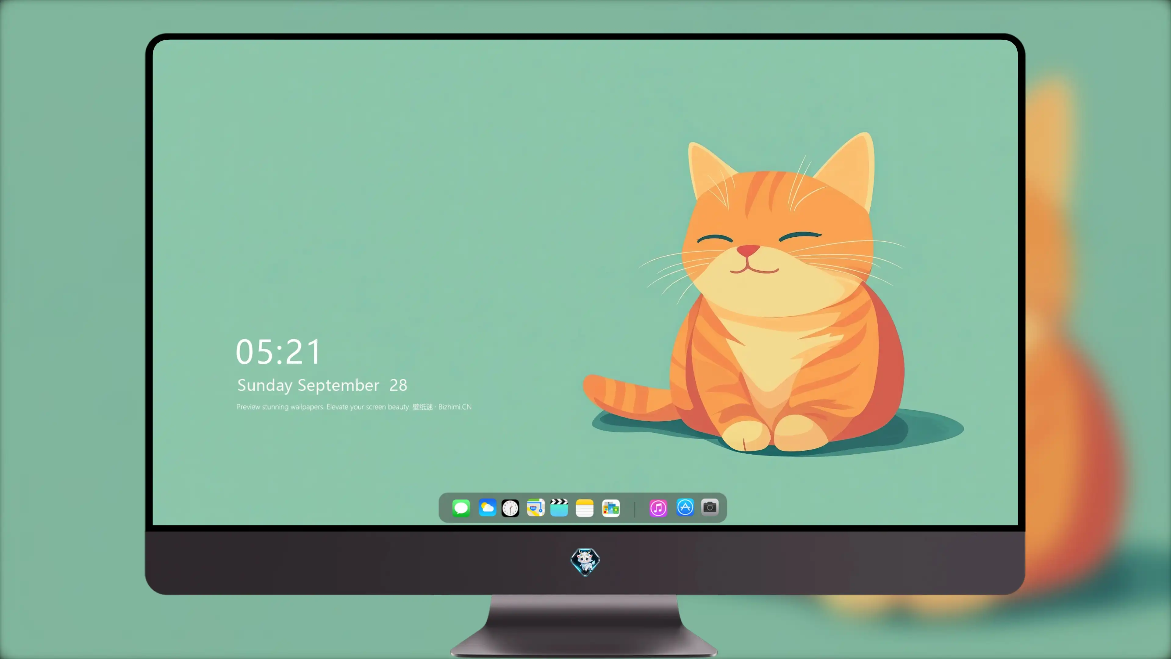 高清猫咪壁纸 可爱小猫图片欣赏
