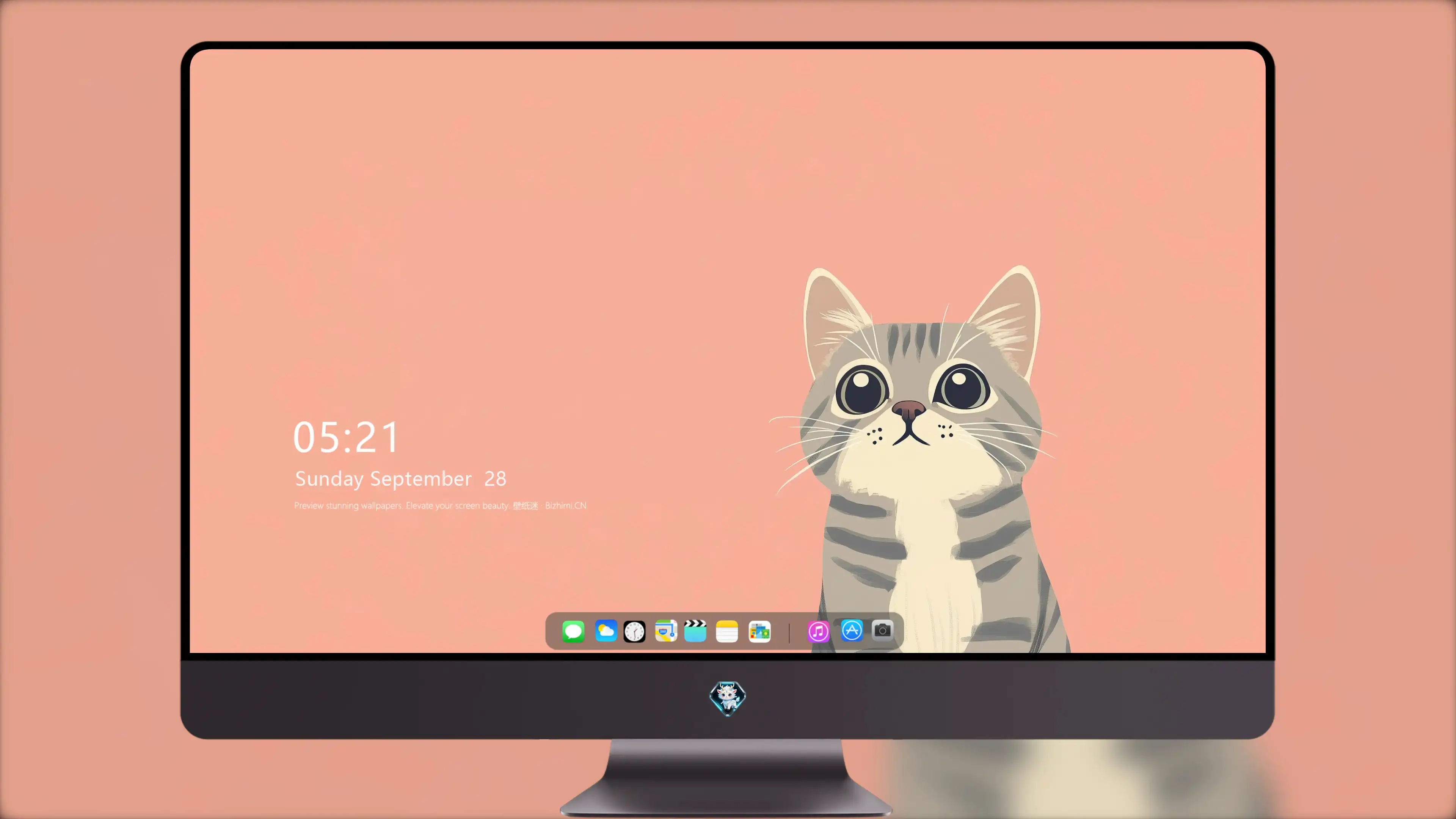 猫咪摄影作品 可爱小猫高清壁纸素材