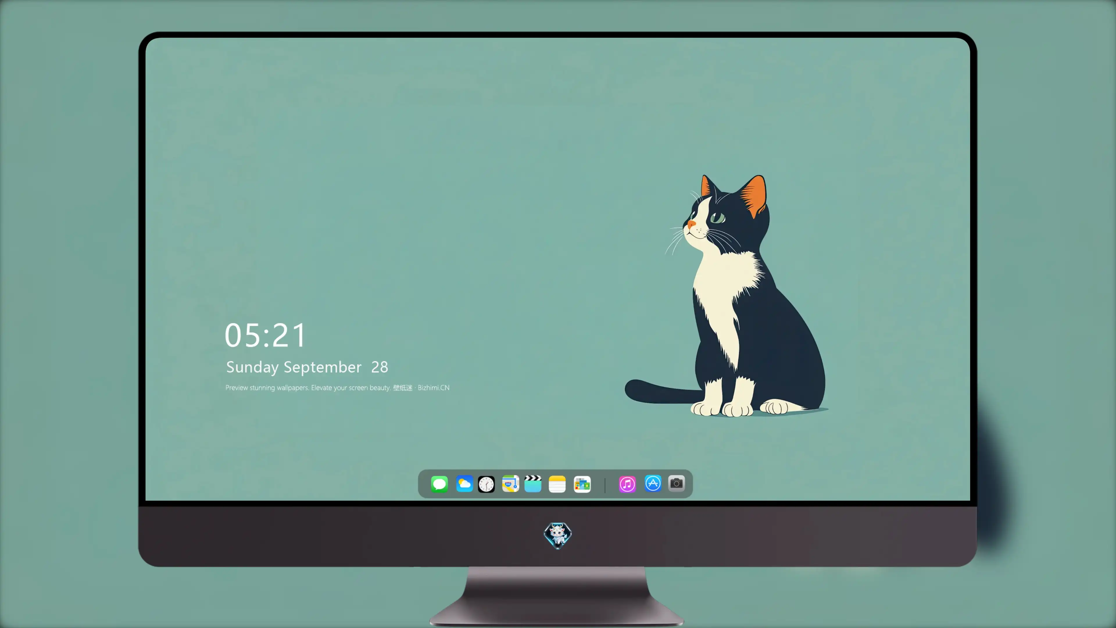 高清小猫图片 萌宠猫咪壁纸合集