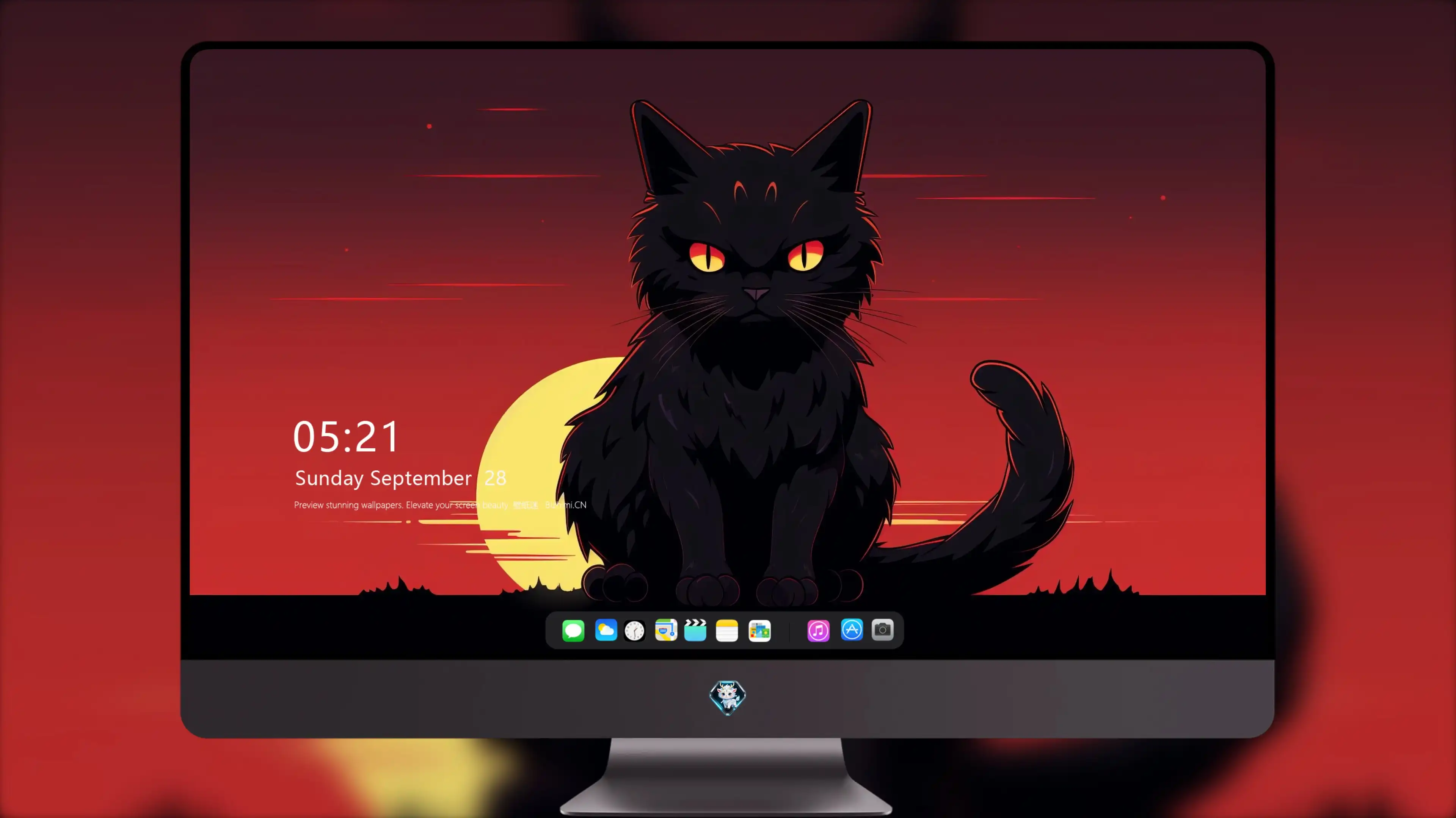 可爱小猫壁纸 猫咪图片高清合集
