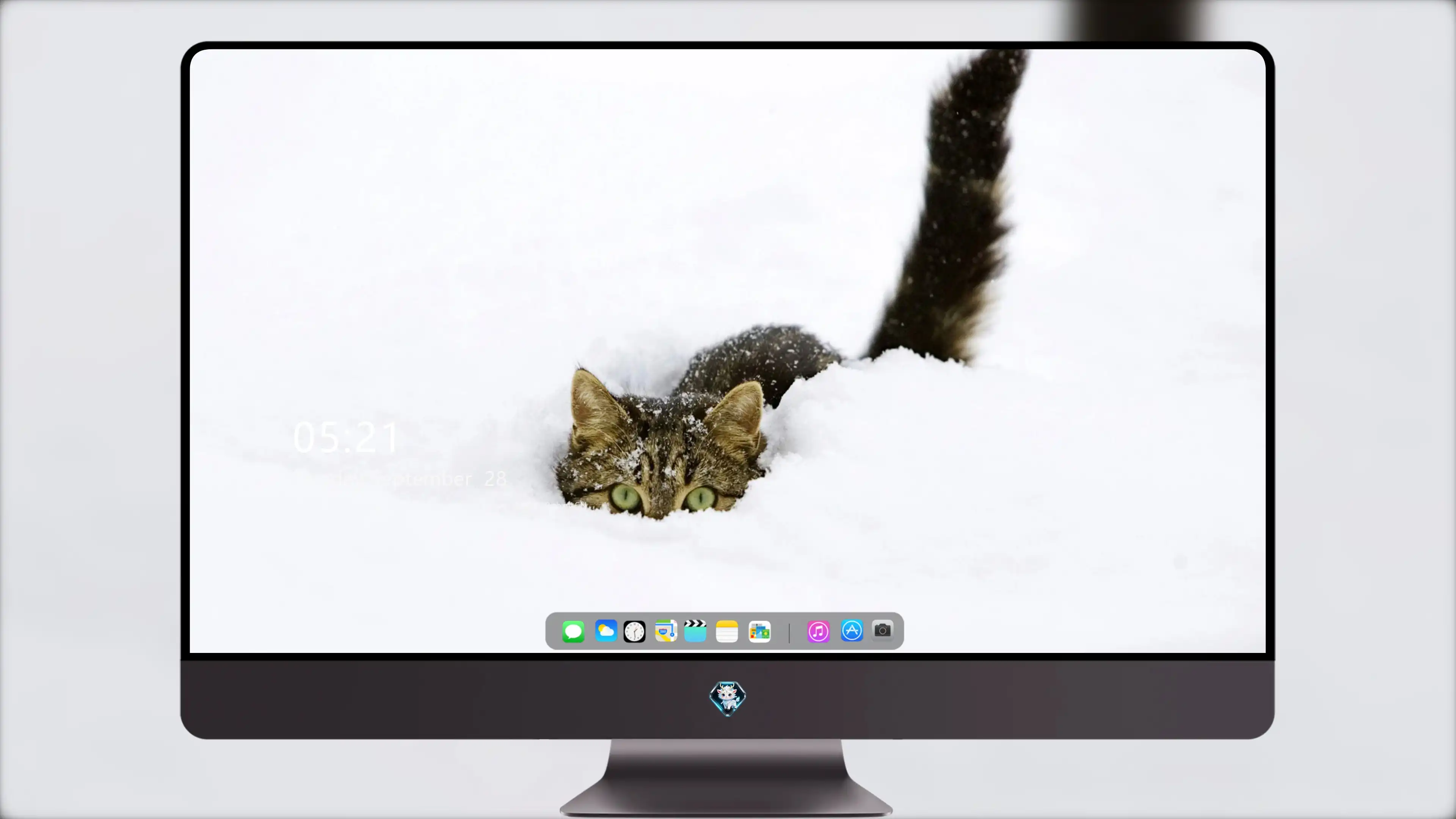 猫咪图片素材 可爱小猫壁纸大全