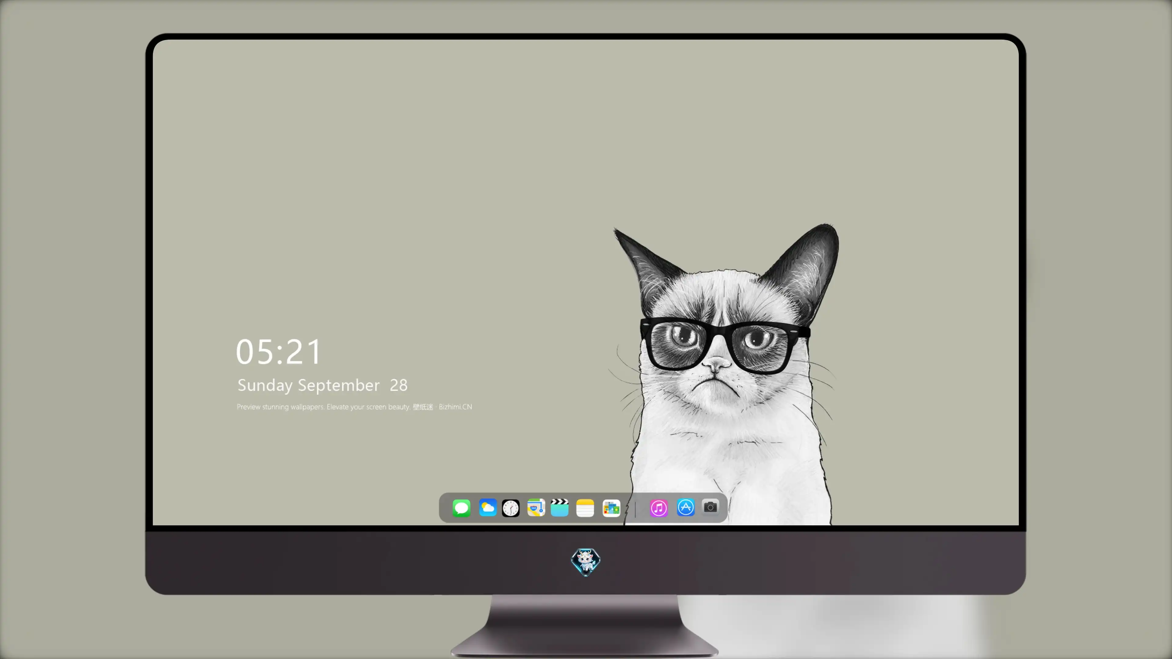 猫咪摄影作品 可爱小猫高清壁纸素材