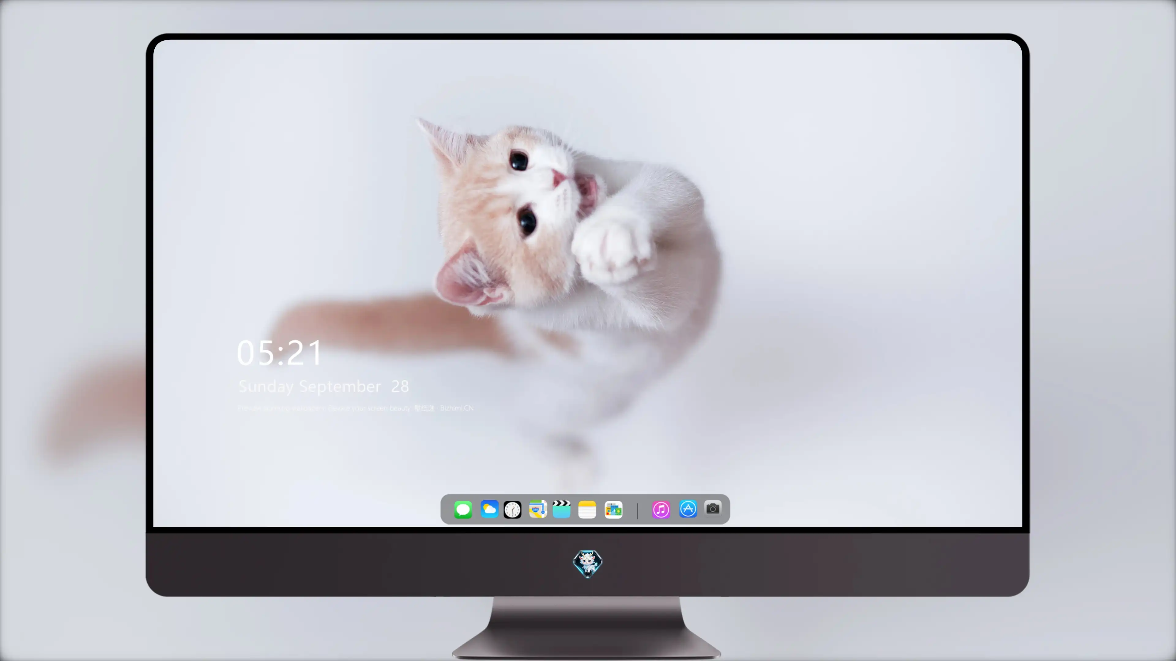 高清小猫图片 萌宠猫咪壁纸合集