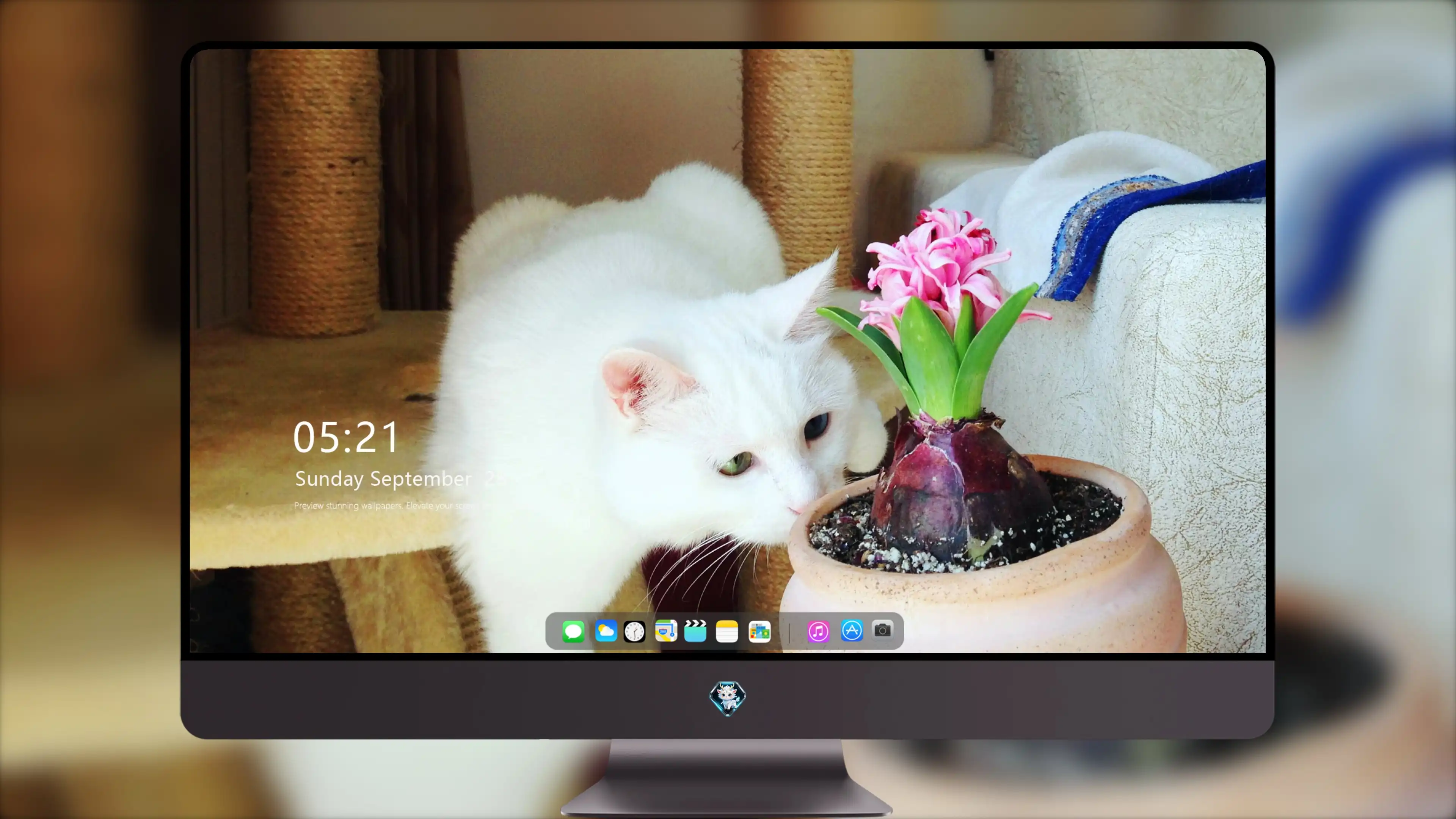 三花猫歪头看镜头 萌系图片