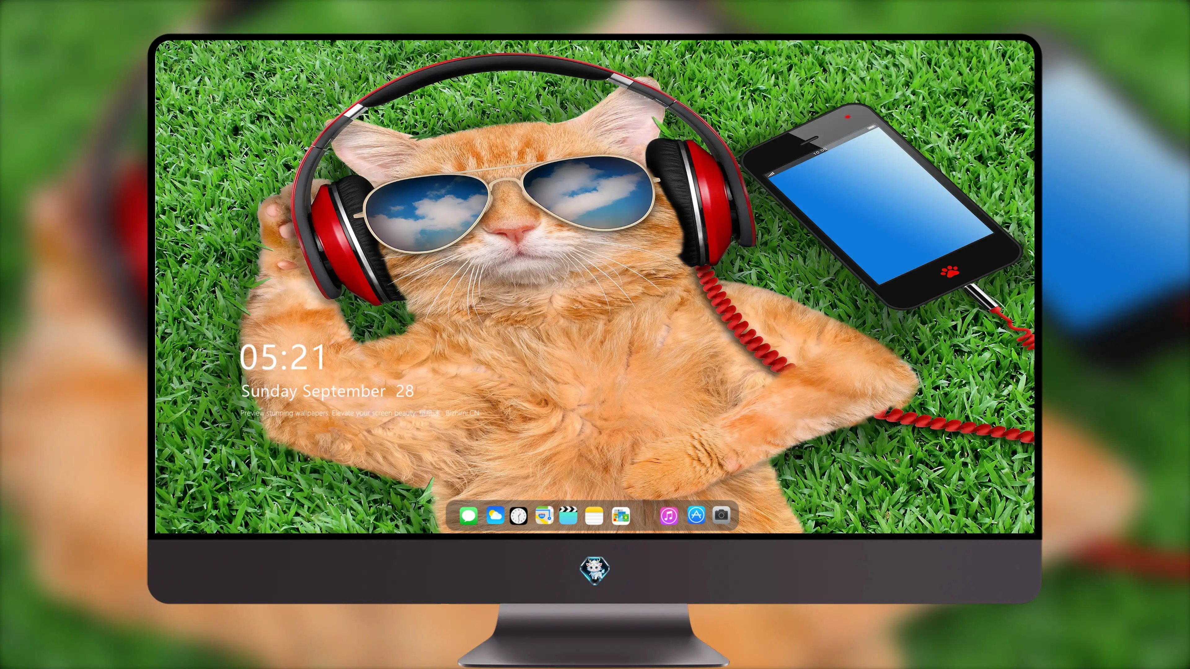猫咪蹭桌面撒娇 可爱图片