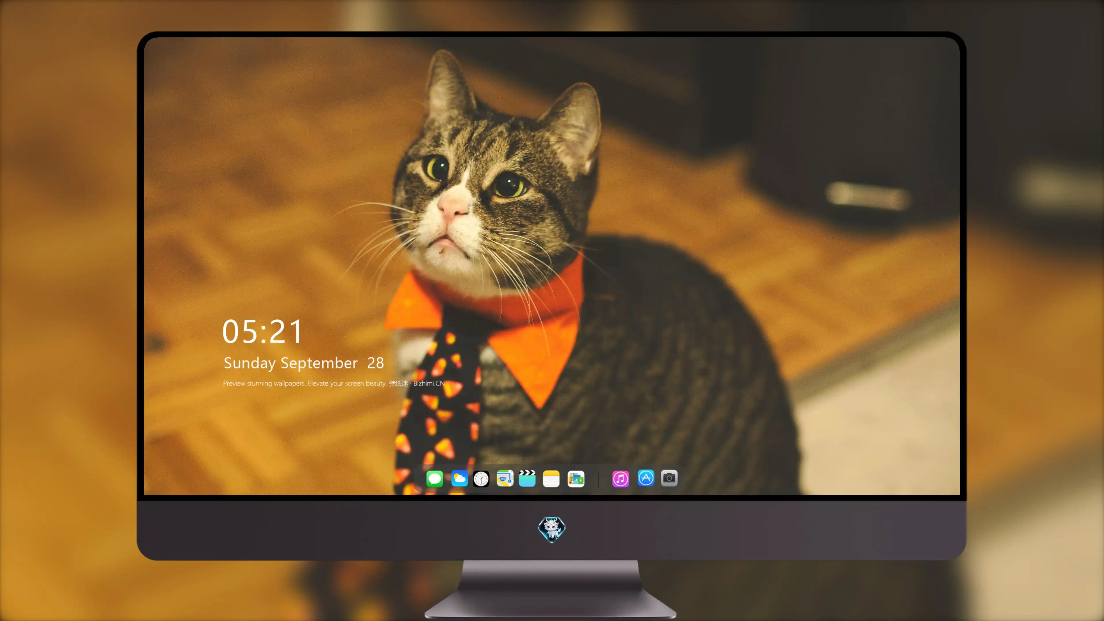 三花猫歪头看镜头 萌系图片