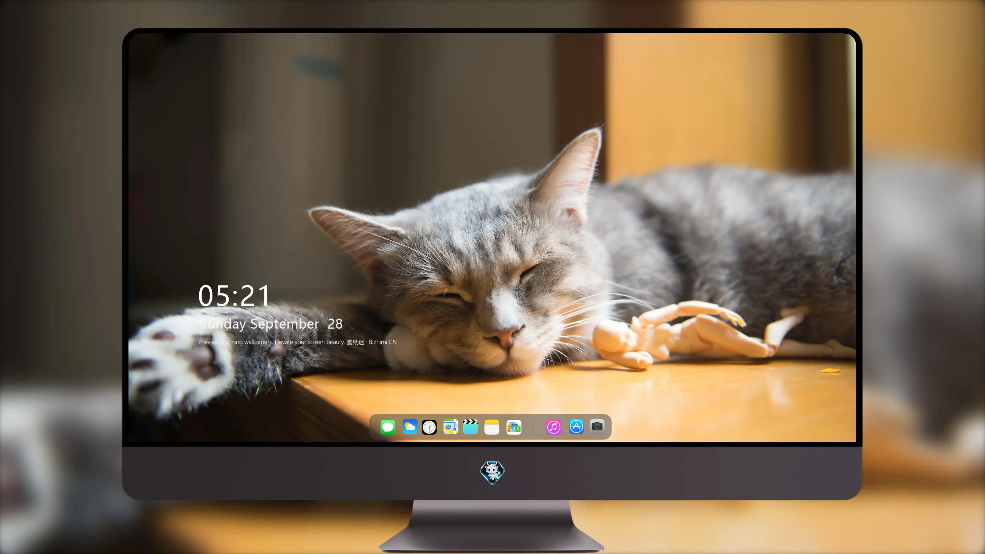 三花猫歪头看镜头 萌系图片