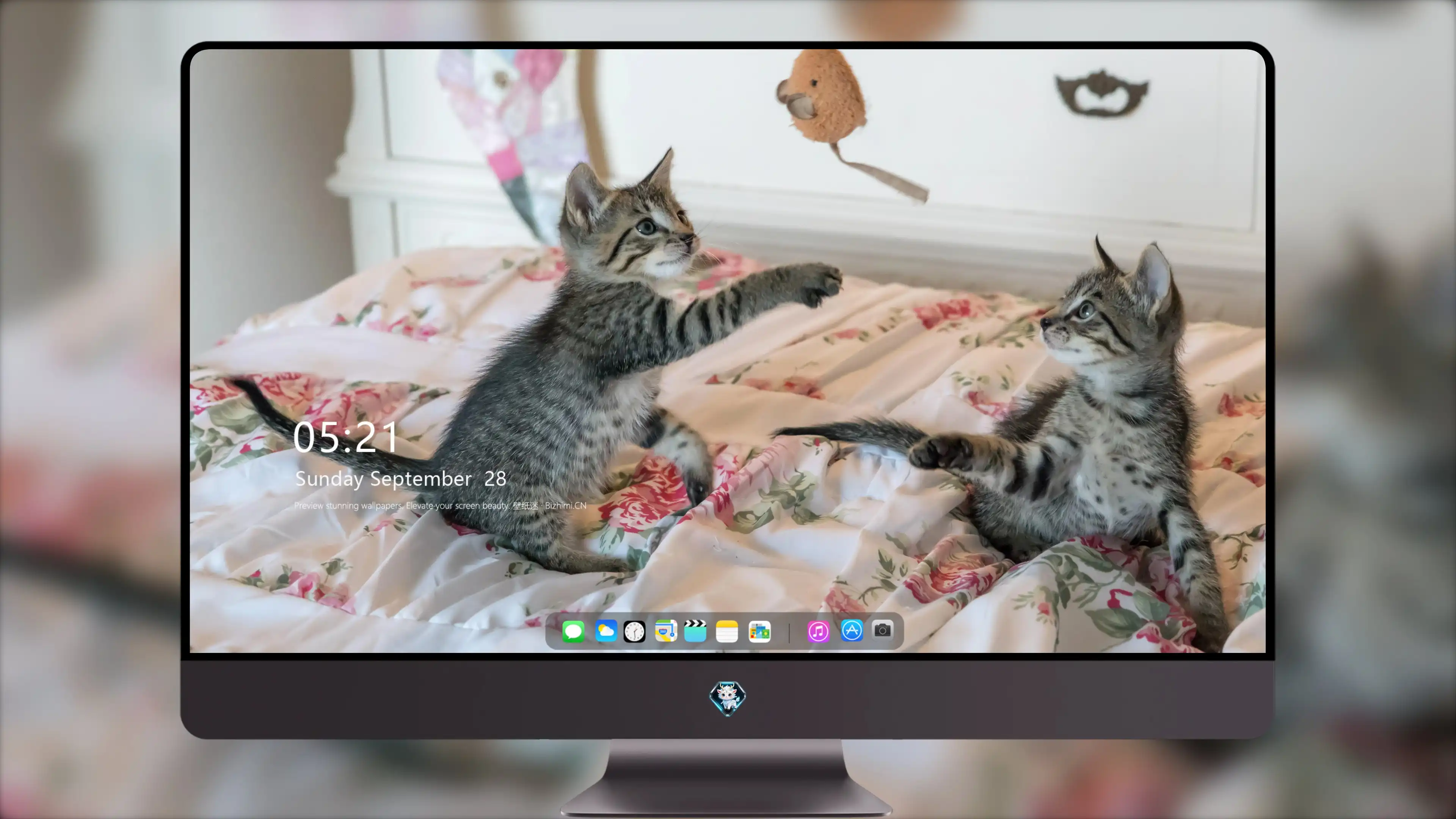 黑猫好奇玩逗猫棒 趣味素材