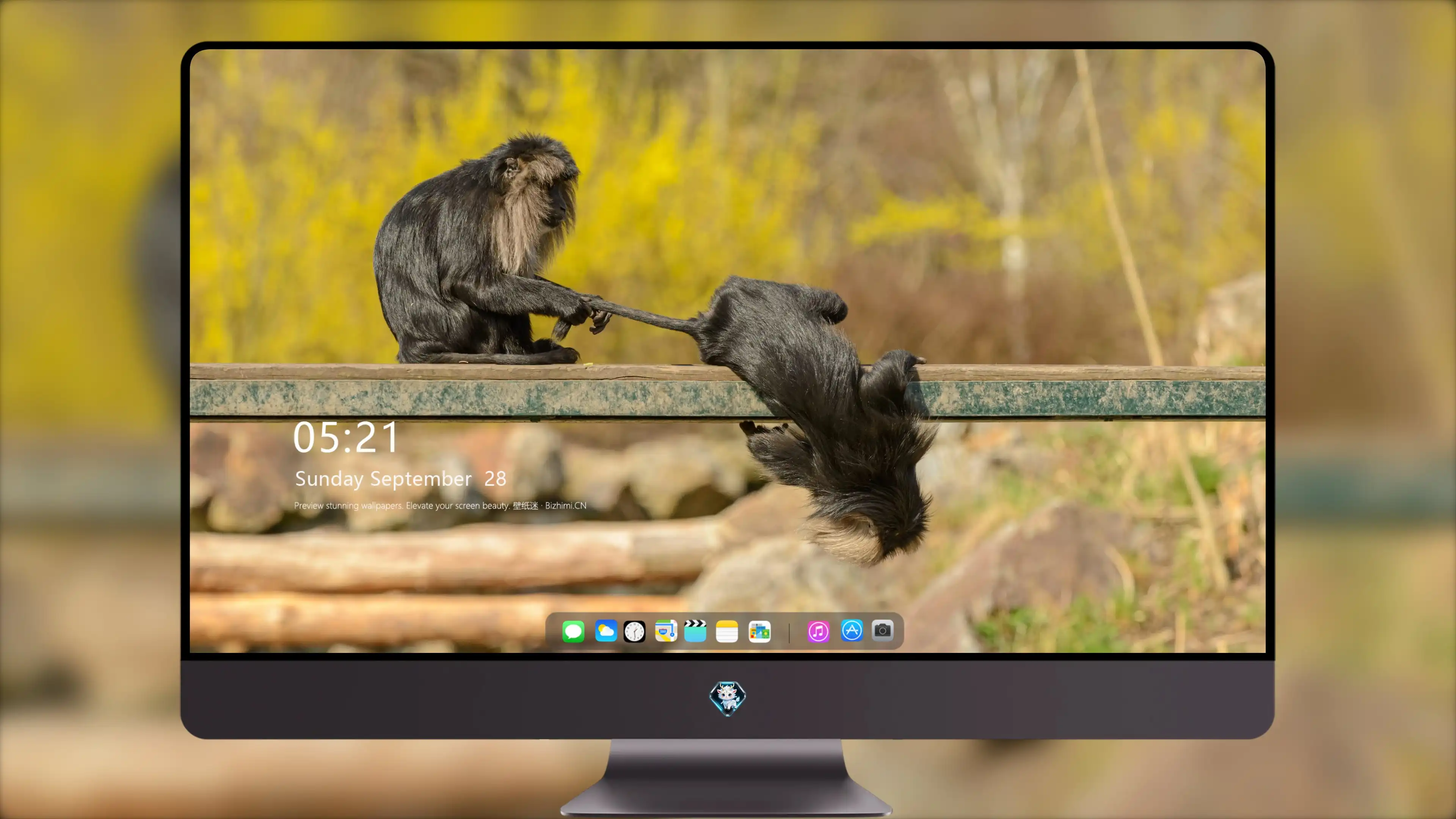 4k动物图片 动物趴在草丛 高清图片