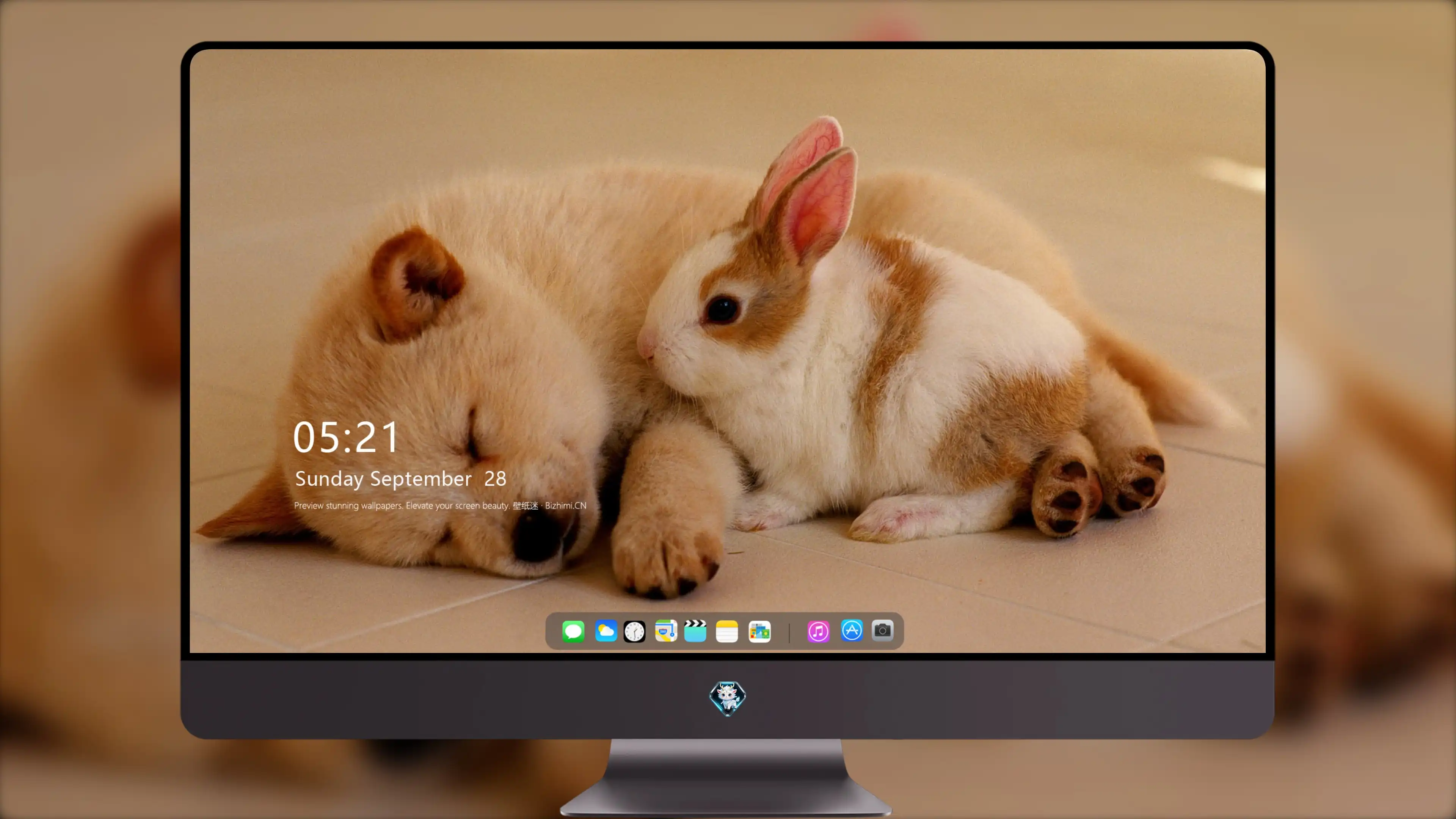 兔休息 高清素材