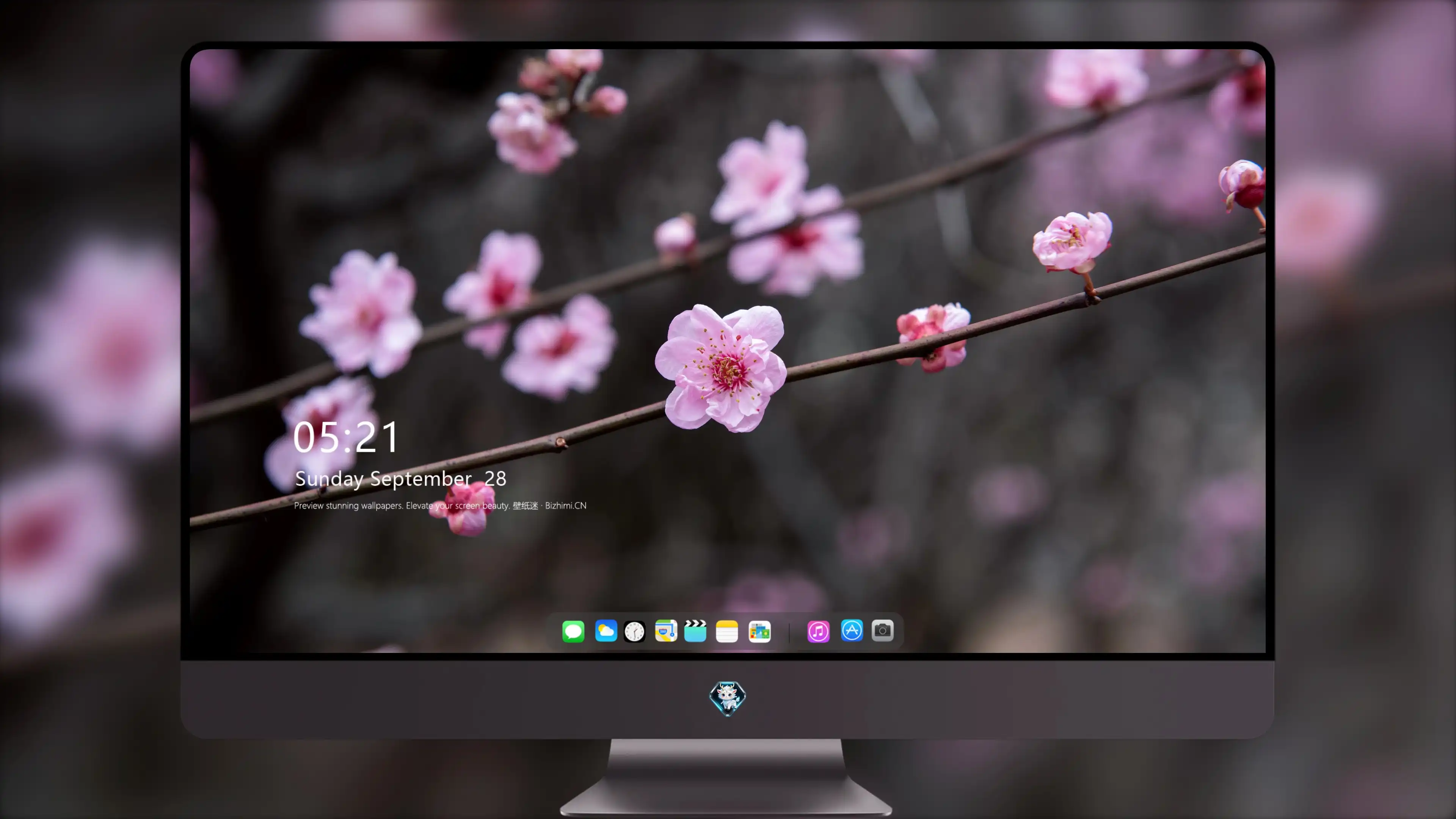 2K壁纸 治愈的 花卉植物花 花朵壁纸 桌面屏保