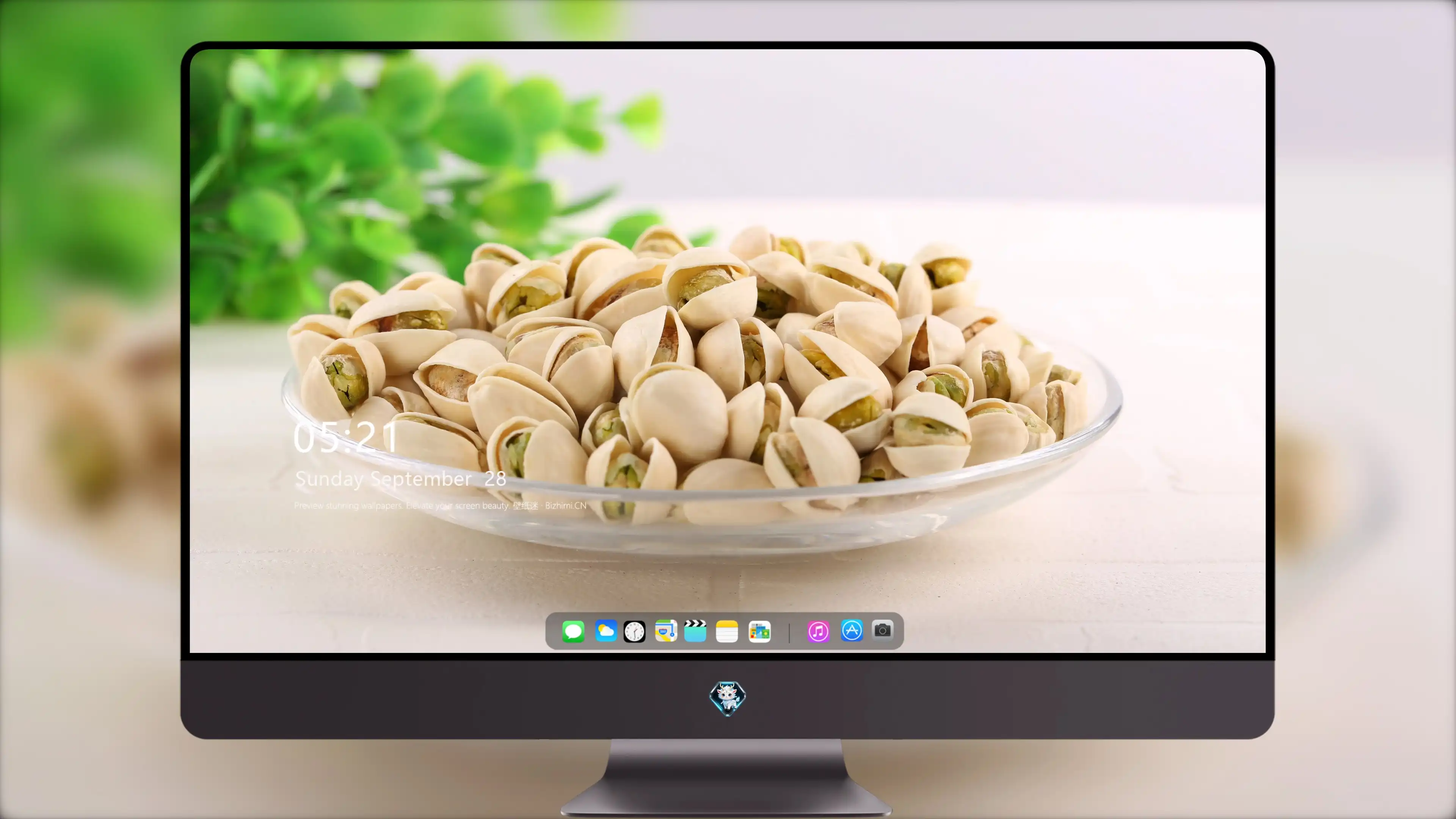 4K超清晰静物特写花卉风格视觉氛围