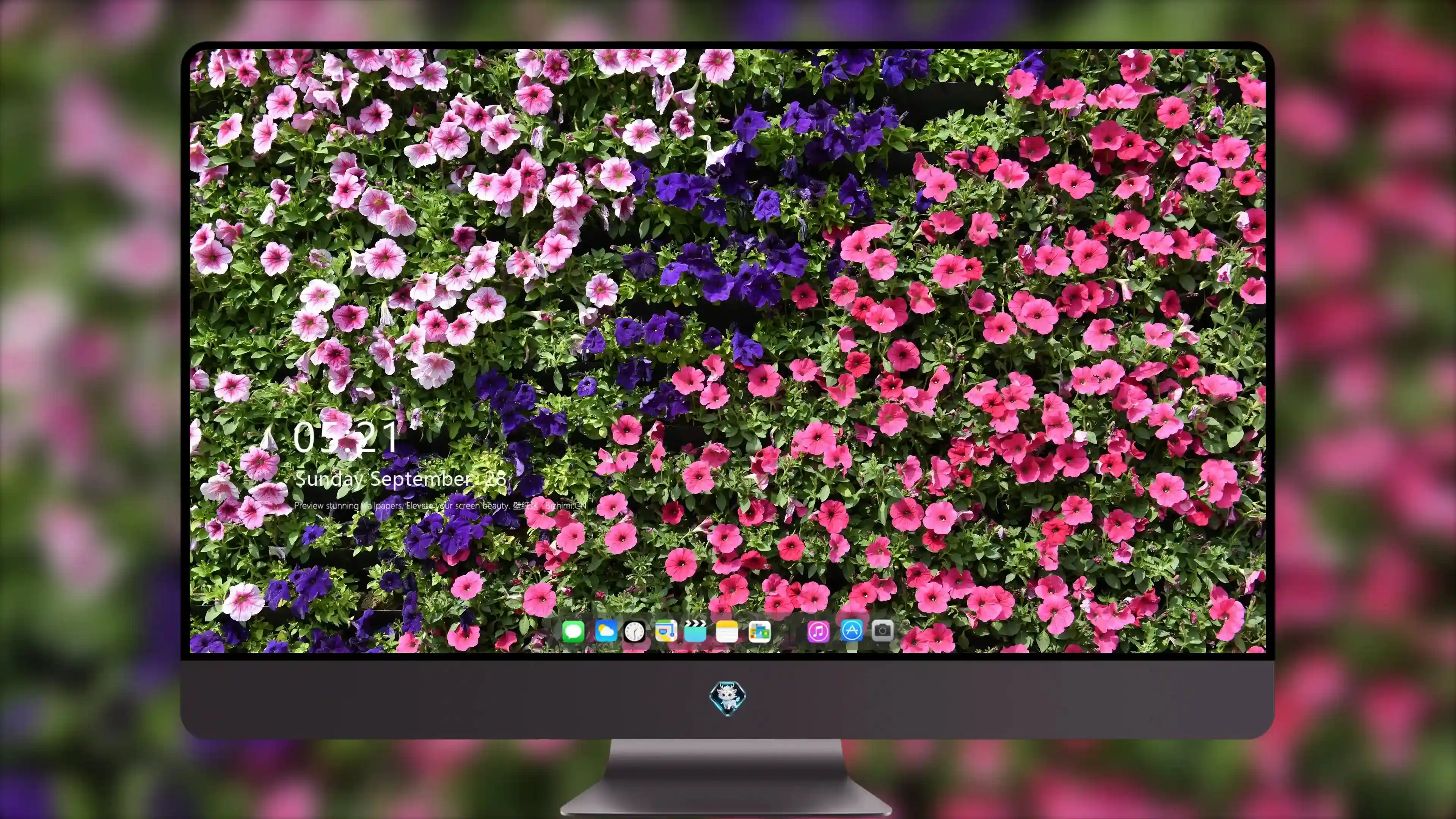 4K超清晰静物特写花卉个性视觉风格