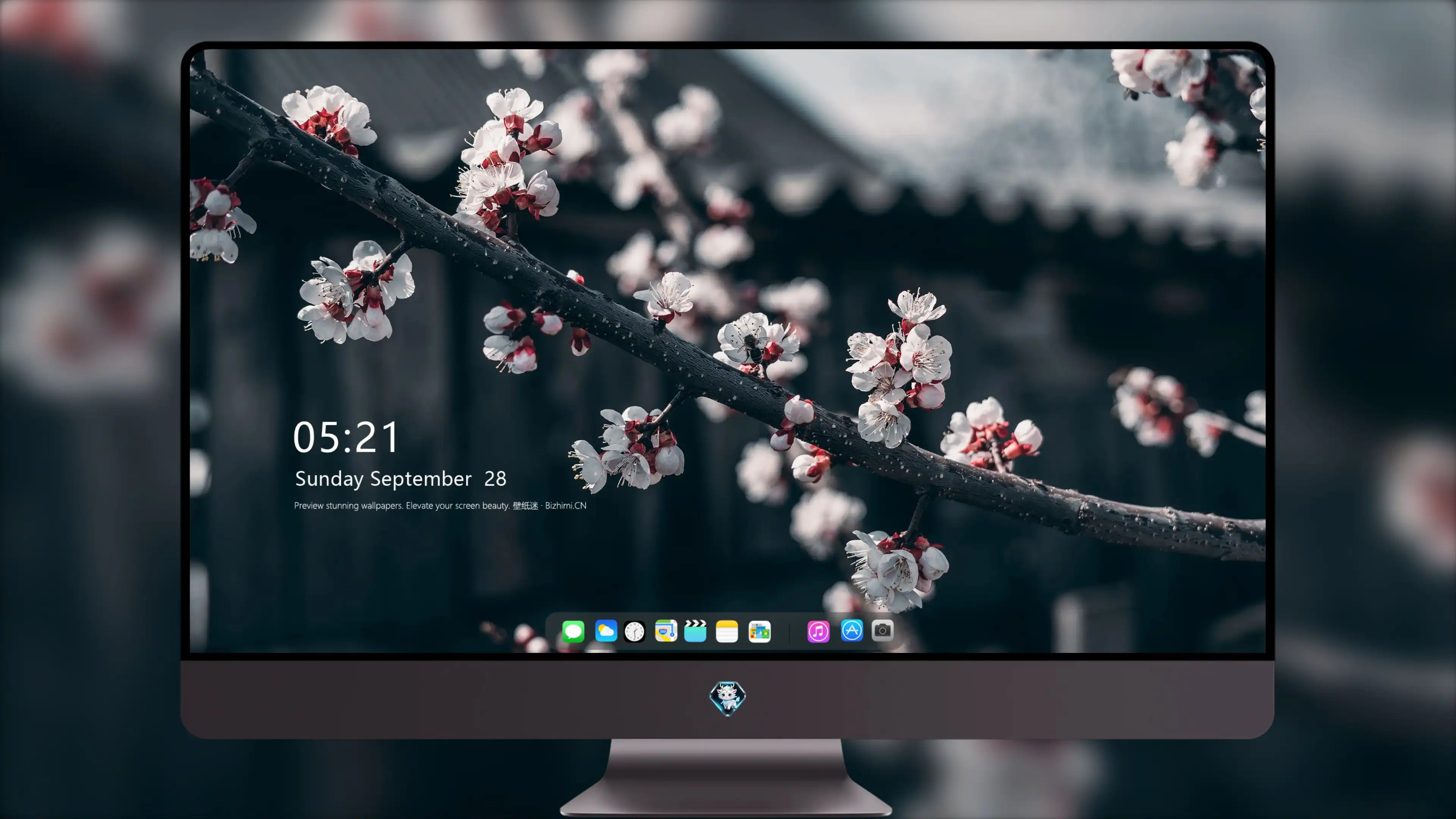 4K超清晰静物特写花卉纹理精致视觉感