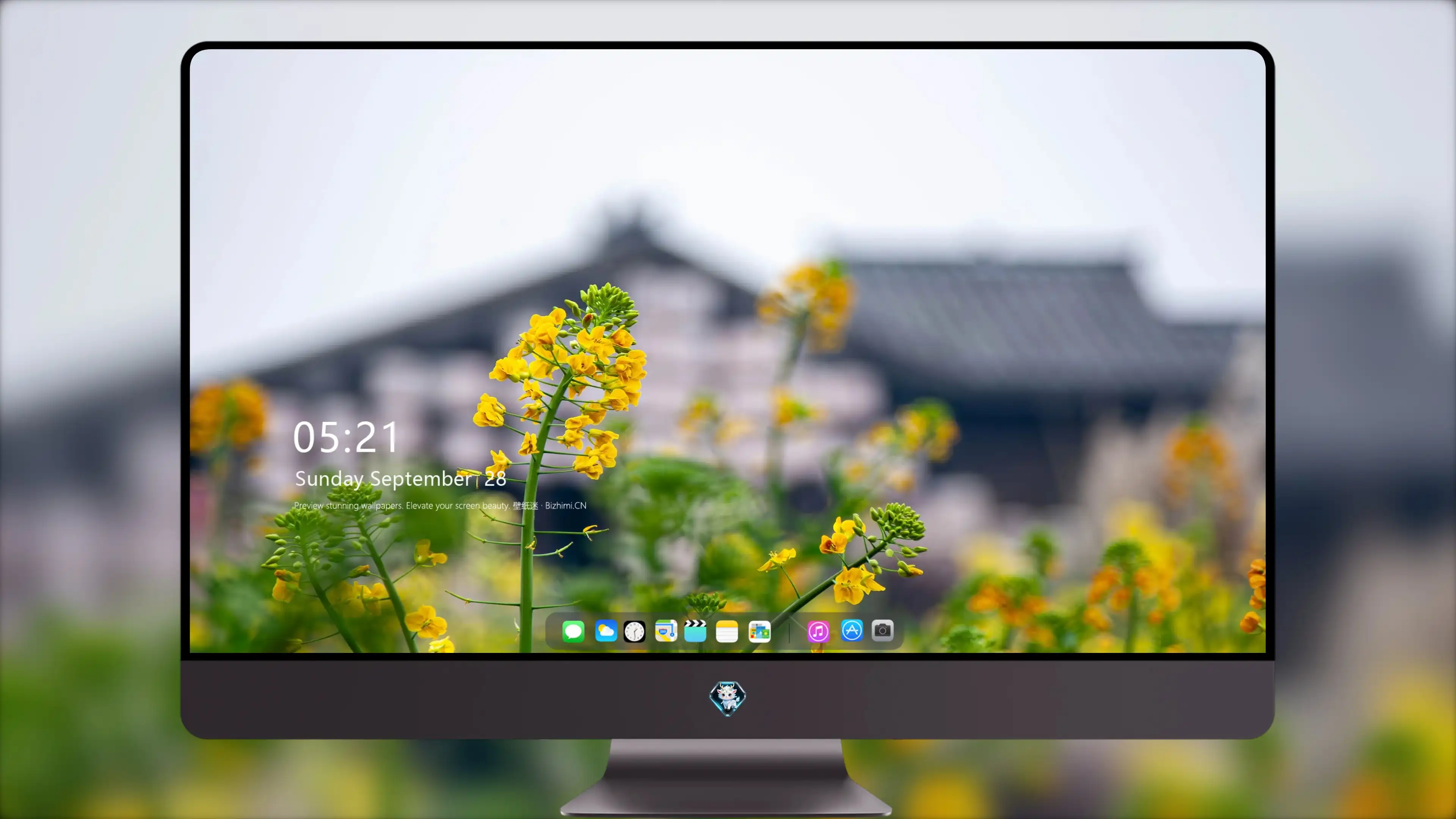 4K超清晰静物特写花卉柔和视觉感受
