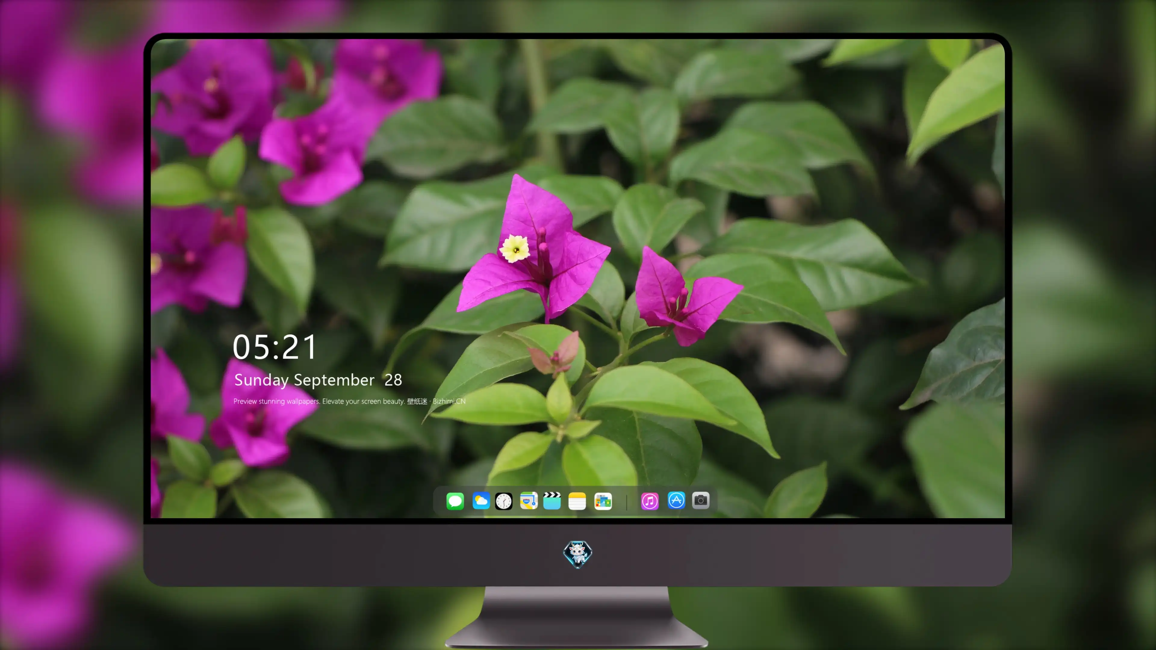 4K超清晰静物特写花卉独特视觉效果