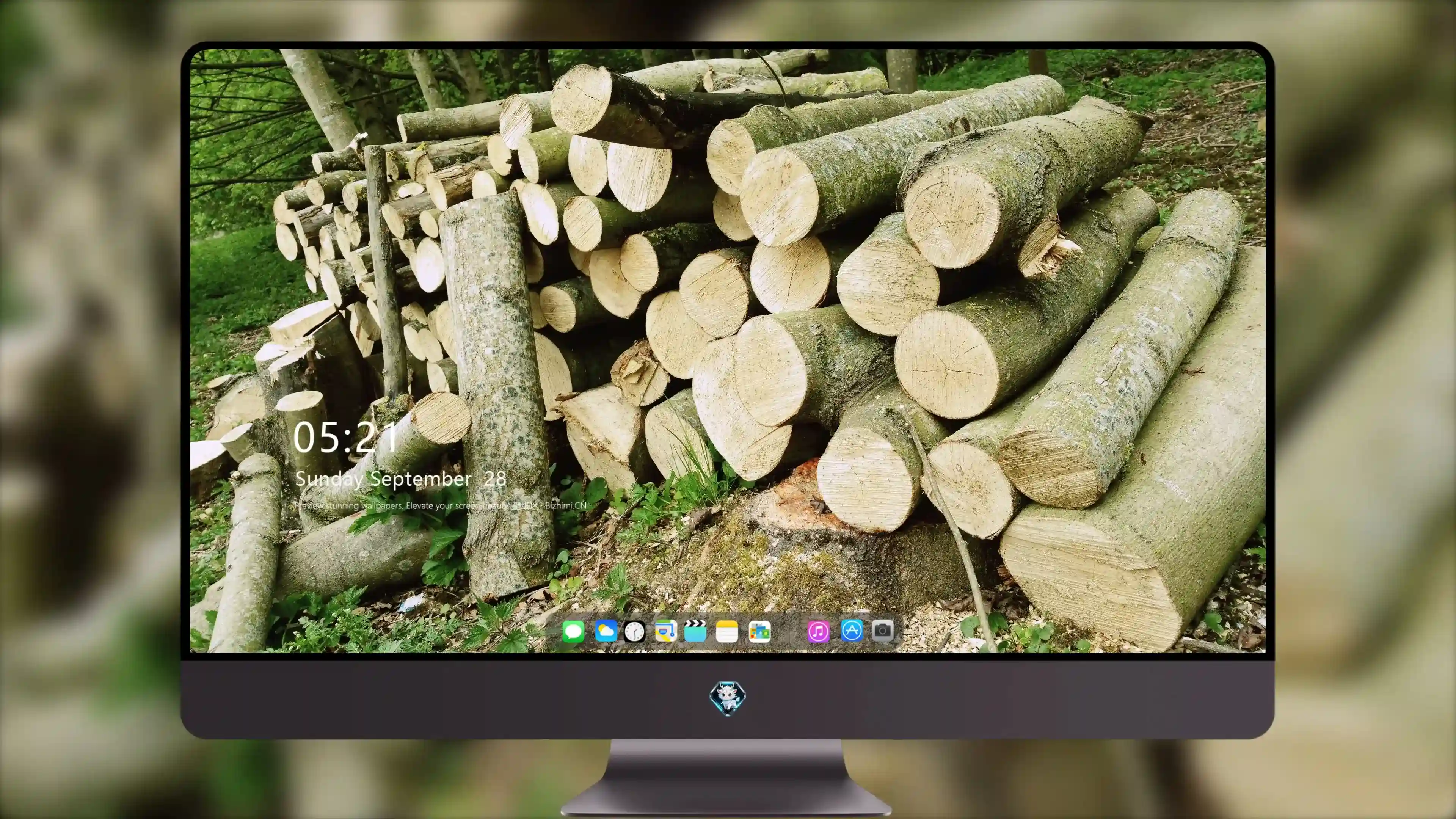 4K超清晰静物特写植物高清视觉体验