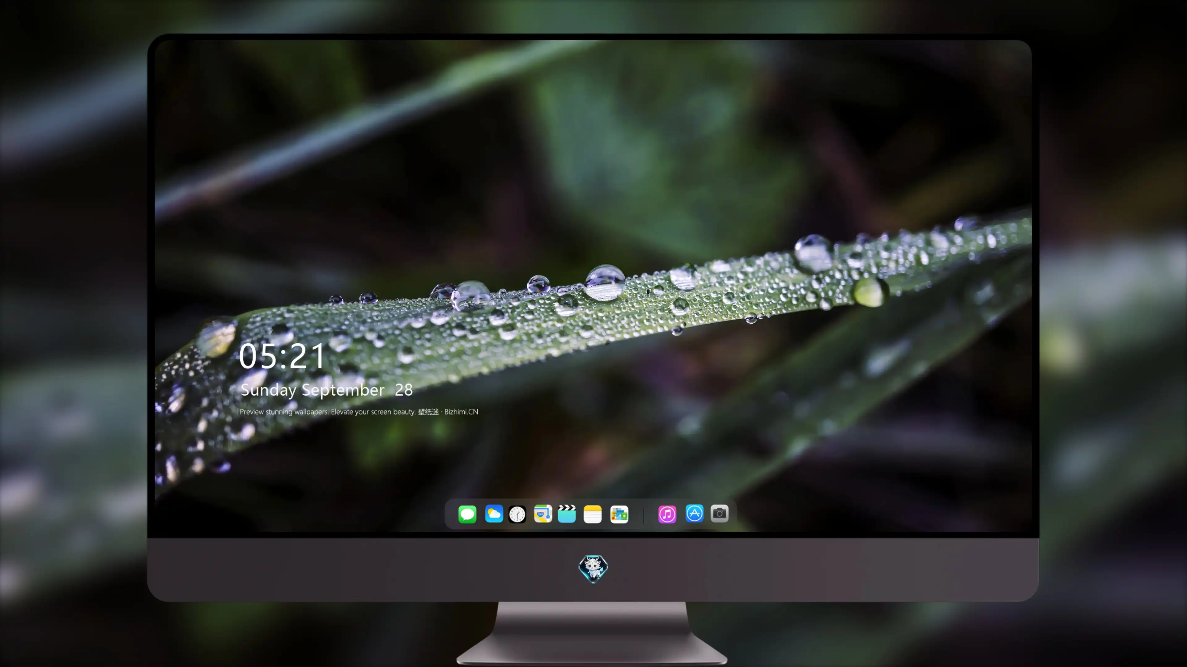 4K超清晰静物特写植物高清视觉体验