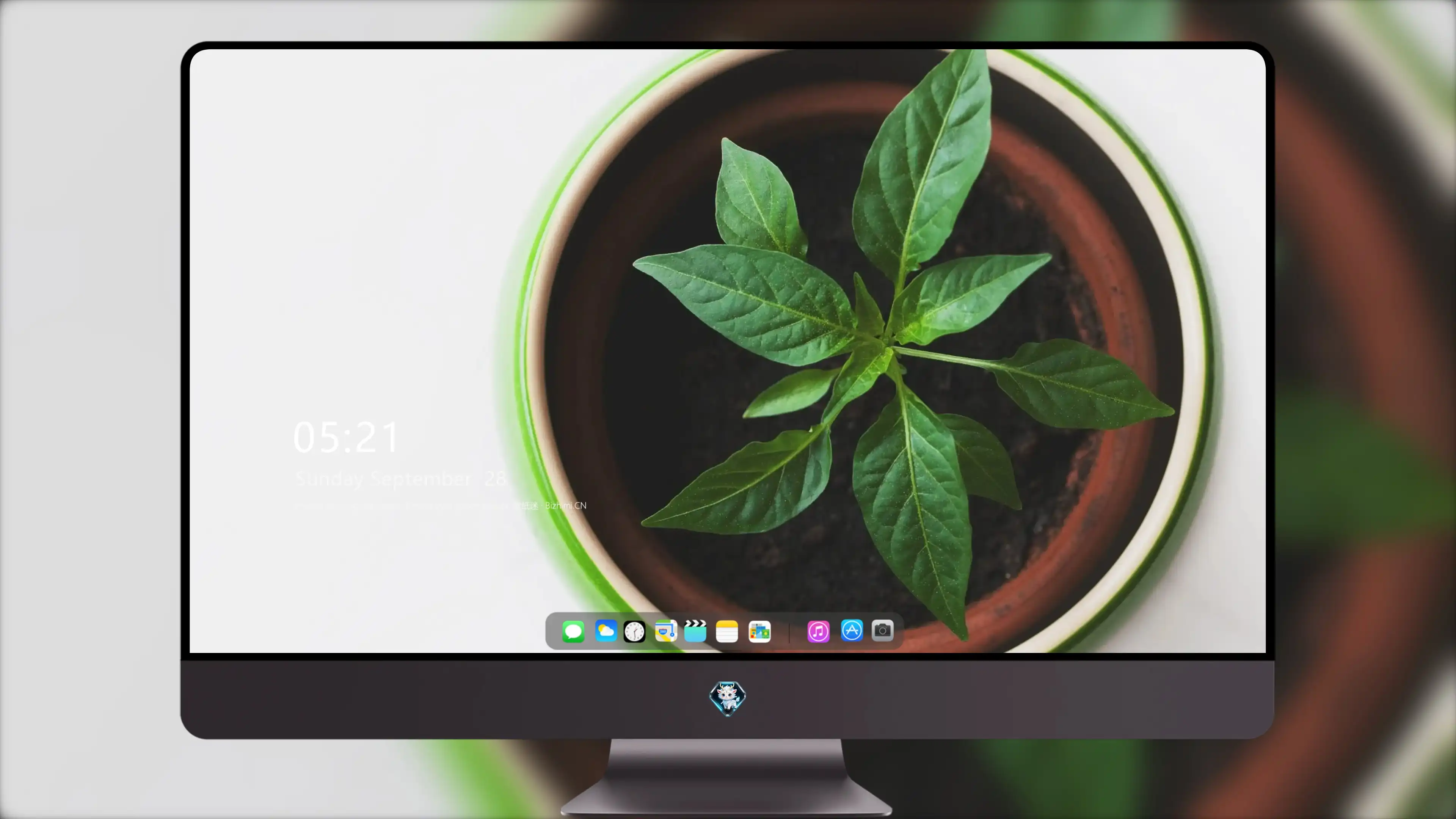 4K超清晰静物特写植物创意视觉设计